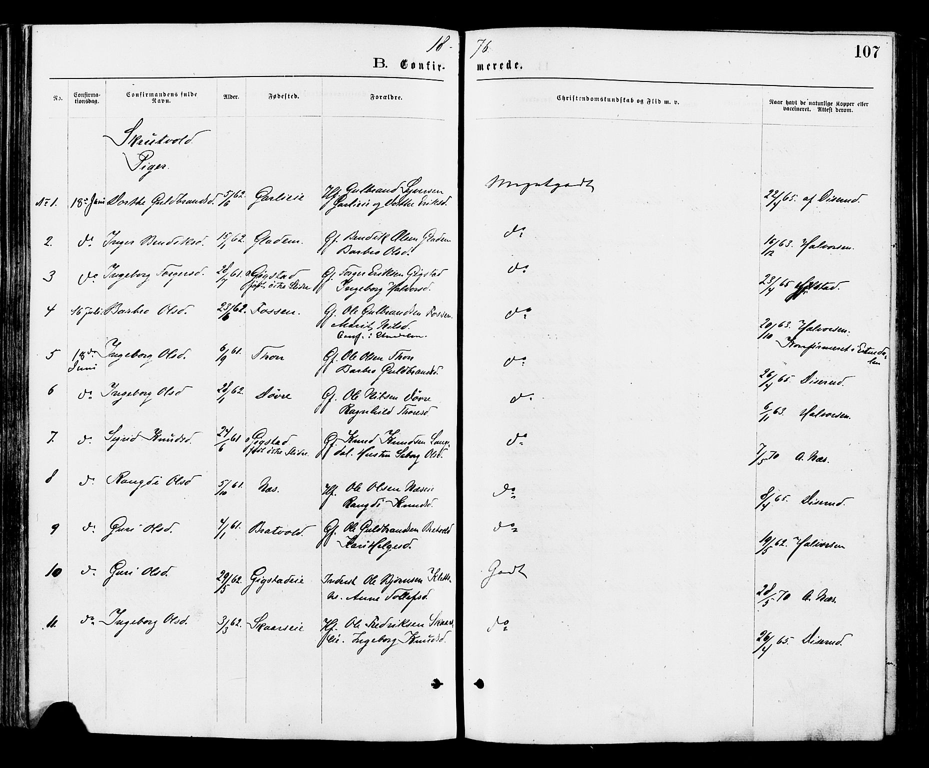 Nord-Aurdal prestekontor, AV/SAH-PREST-132/H/Ha/Haa/L0009: Parish register (official) no. 9, 1876-1882, p. 107