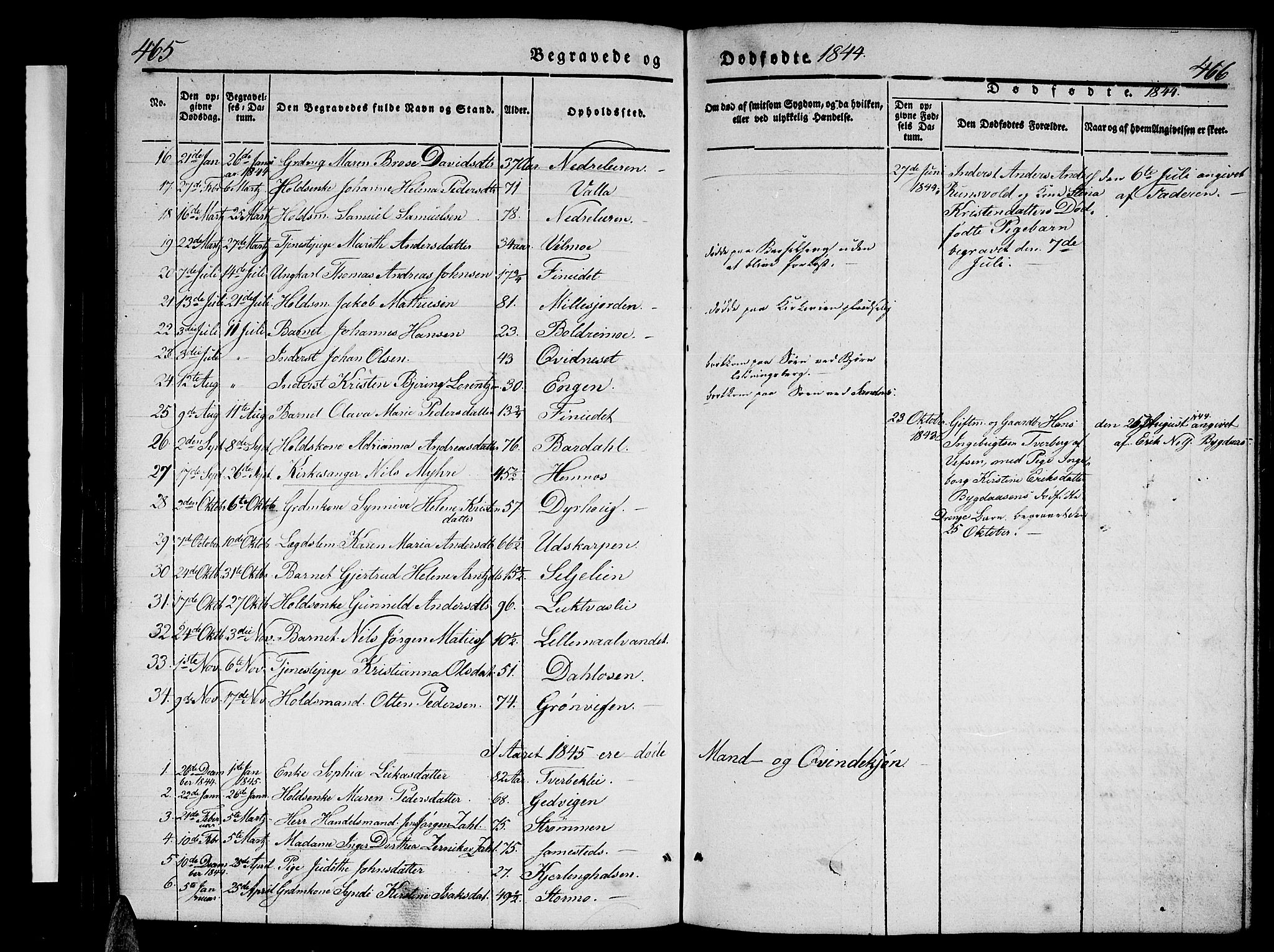 Ministerialprotokoller, klokkerbøker og fødselsregistre - Nordland, AV/SAT-A-1459/825/L0364: Parish register (copy) no. 825C01, 1841-1863, p. 465-466