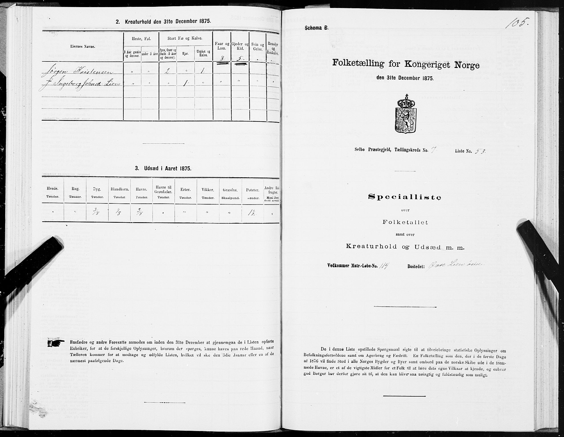 SAT, 1875 census for 1664P Selbu, 1875, p. 4105