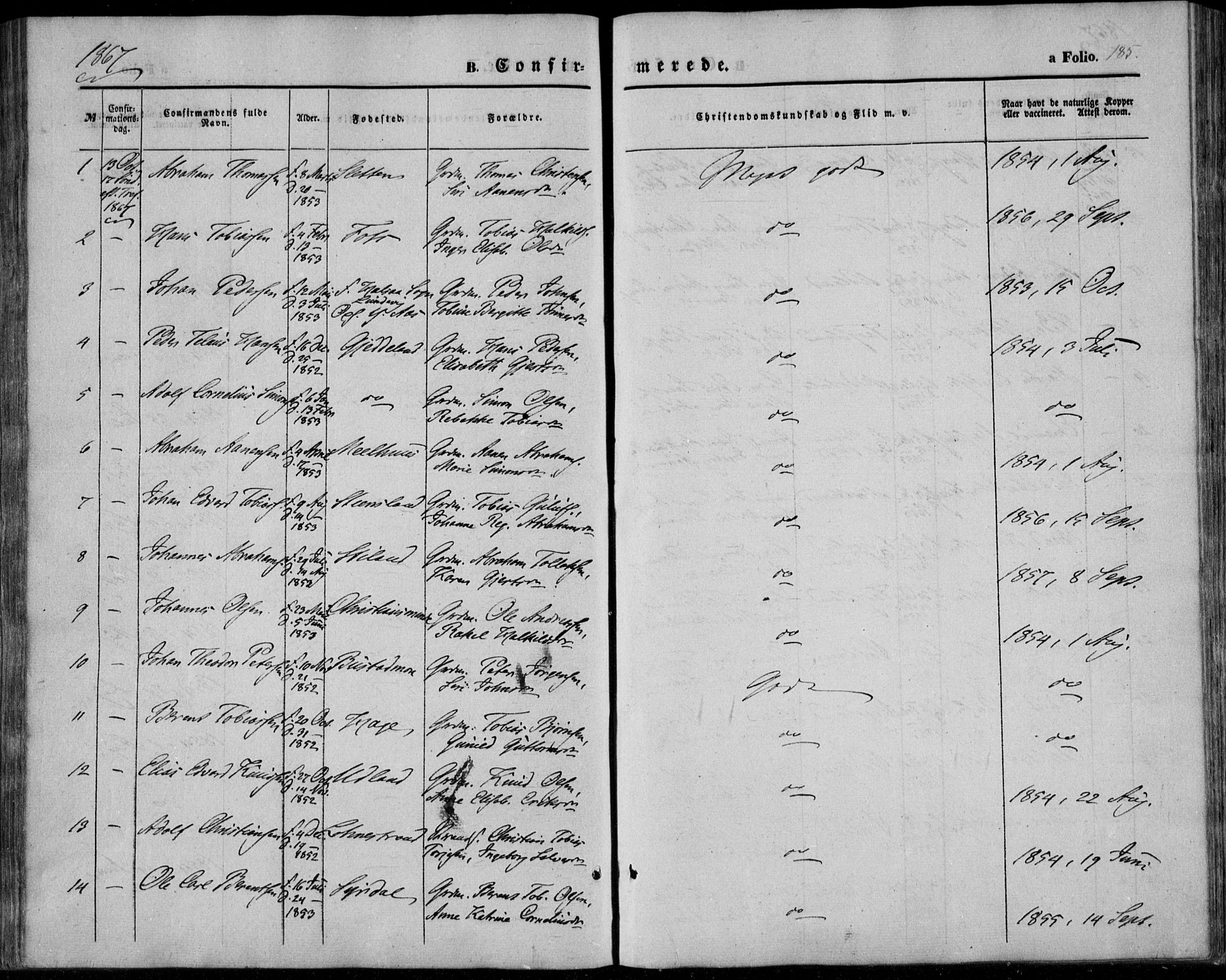 Sør-Audnedal sokneprestkontor, AV/SAK-1111-0039/F/Fa/Fab/L0007: Parish register (official) no. A 7, 1855-1876, p. 185