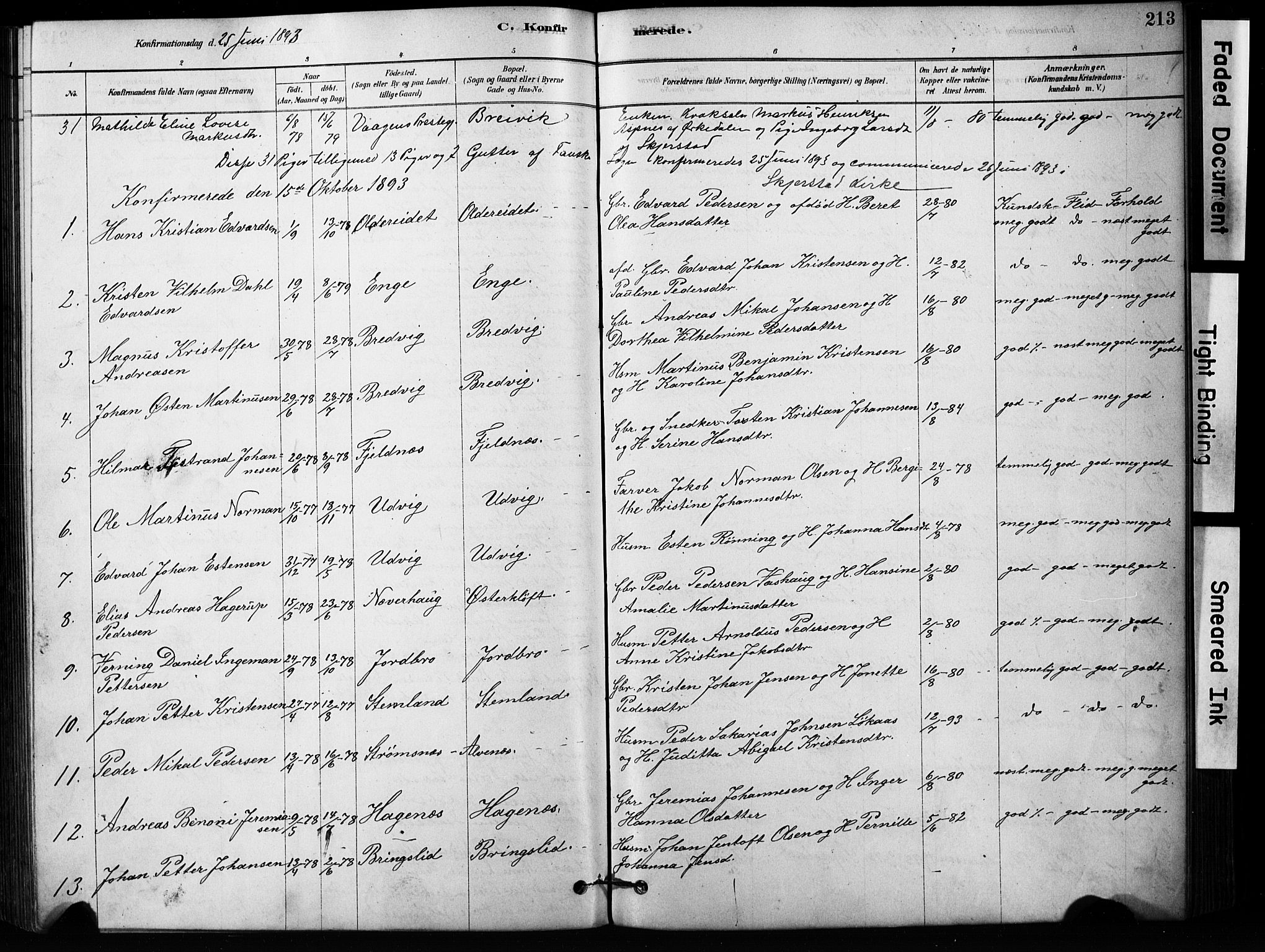 Ministerialprotokoller, klokkerbøker og fødselsregistre - Nordland, SAT/A-1459/852/L0754: Parish register (copy) no. 852C05, 1878-1894, p. 213