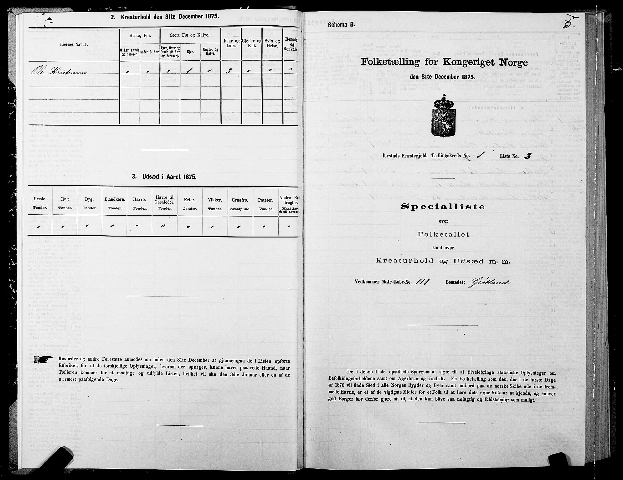 SATØ, 1875 census for 1917P Ibestad, 1875, p. 1005