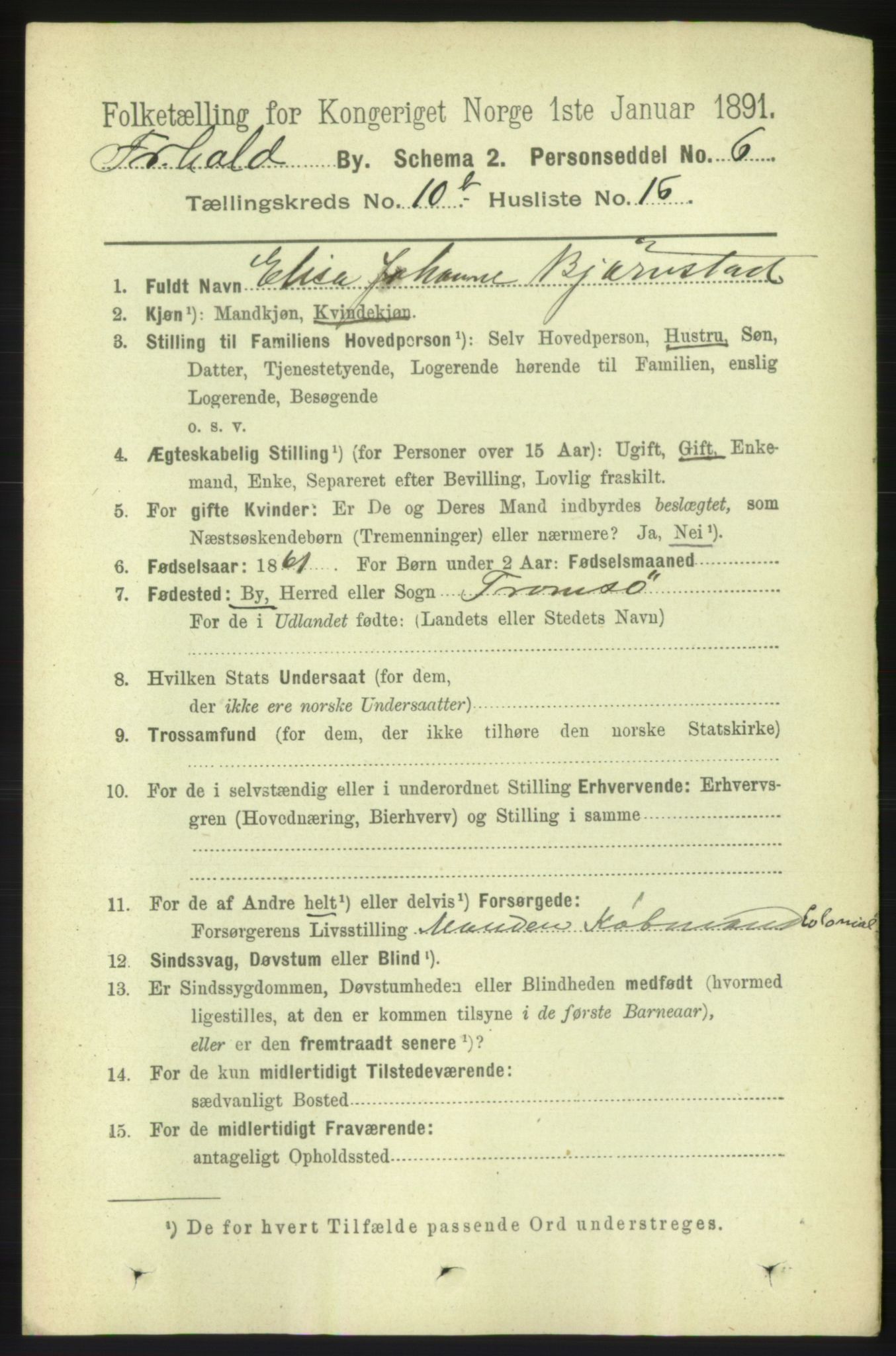 RA, 1891 census for 0101 Fredrikshald, 1891, p. 7534