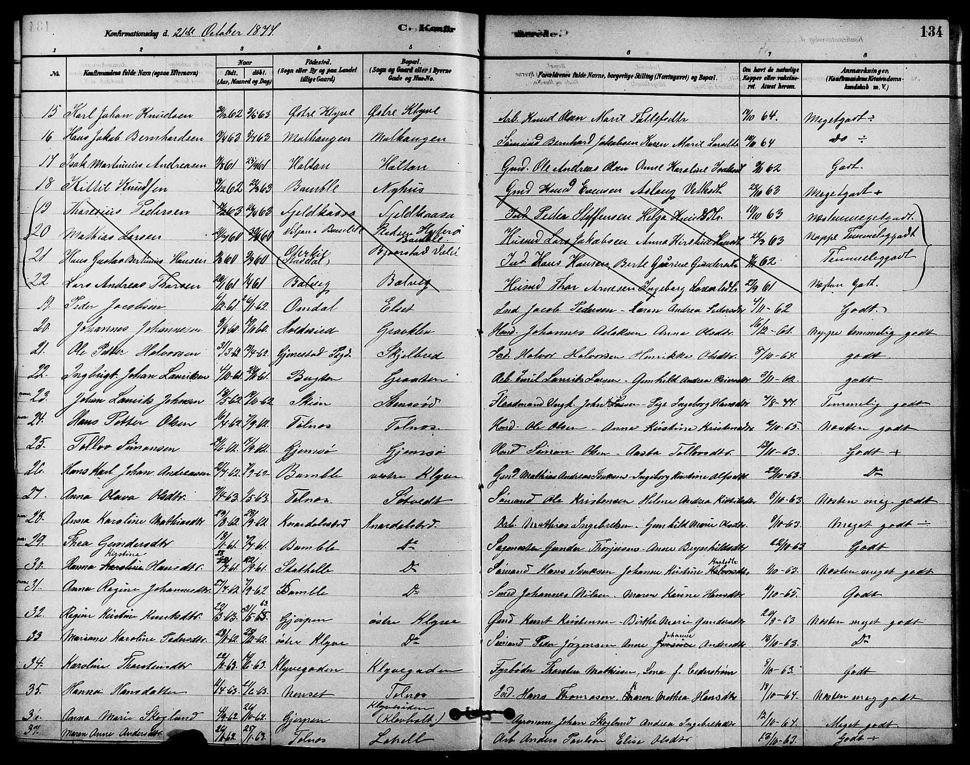 Solum kirkebøker, SAKO/A-306/F/Fa/L0009: Parish register (official) no. I 9, 1877-1887, p. 134