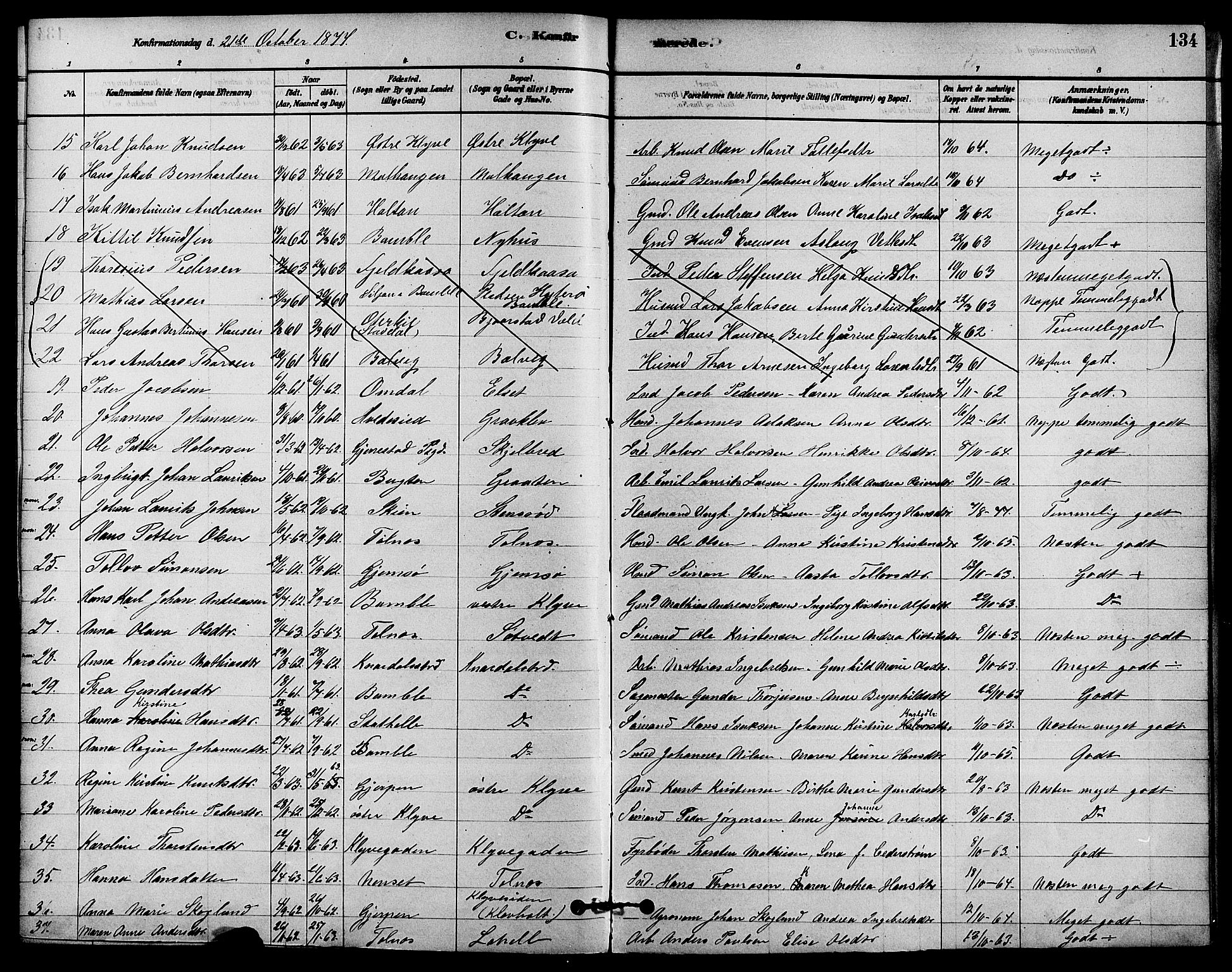 Solum kirkebøker, AV/SAKO-A-306/F/Fa/L0009: Parish register (official) no. I 9, 1877-1887, p. 134