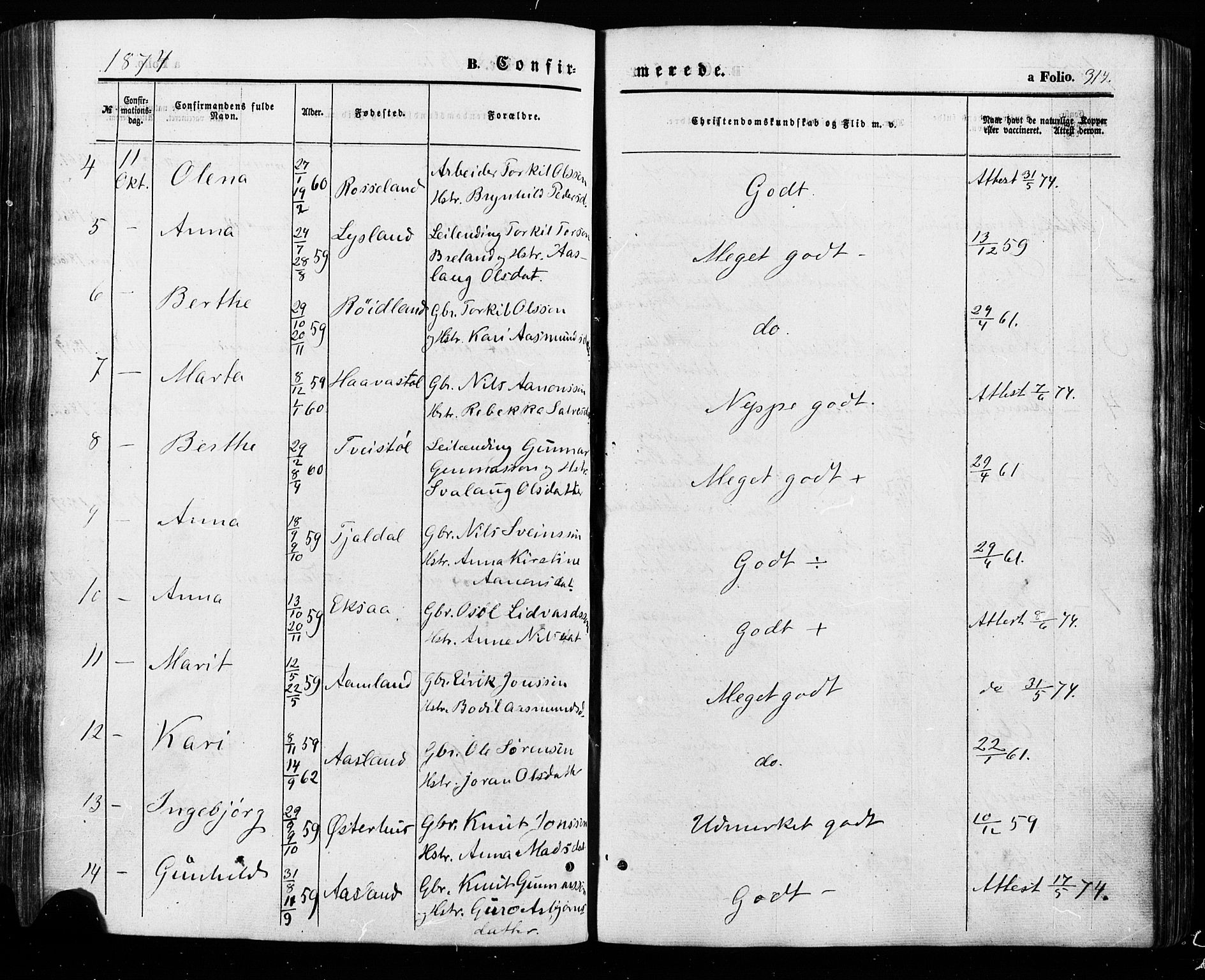 Åseral sokneprestkontor, SAK/1111-0051/F/Fa/L0002: Parish register (official) no. A 2, 1854-1884, p. 314