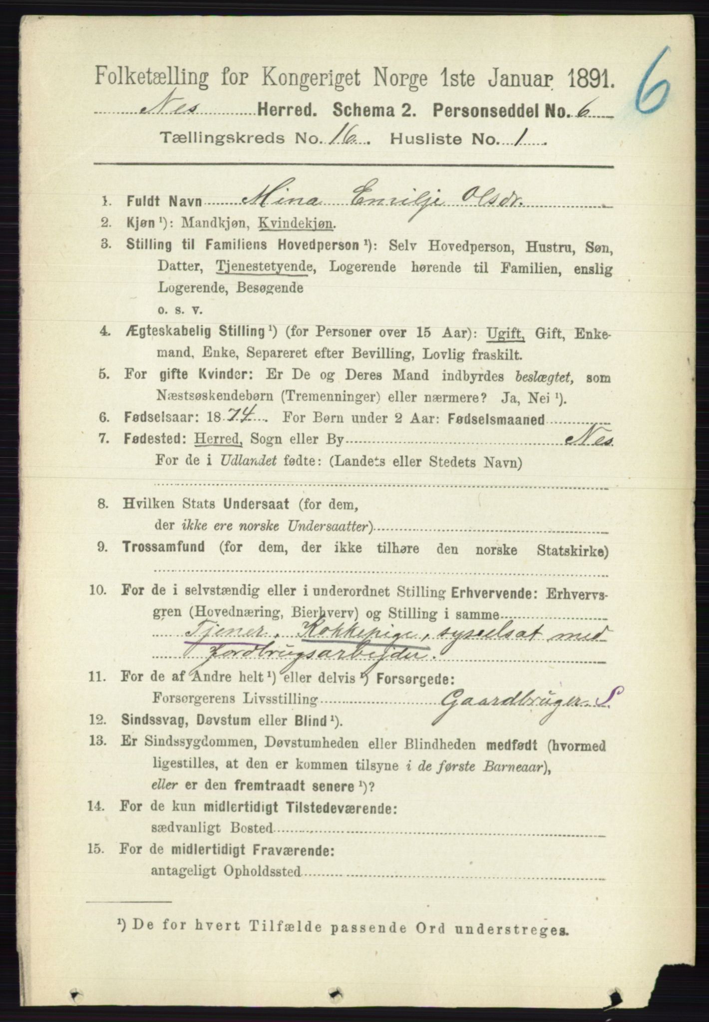 RA, 1891 census for 0236 Nes, 1891, p. 9554