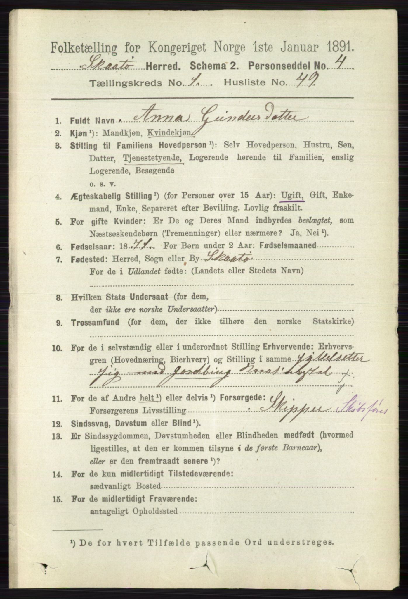 RA, 1891 census for 0815 Skåtøy, 1891, p. 379