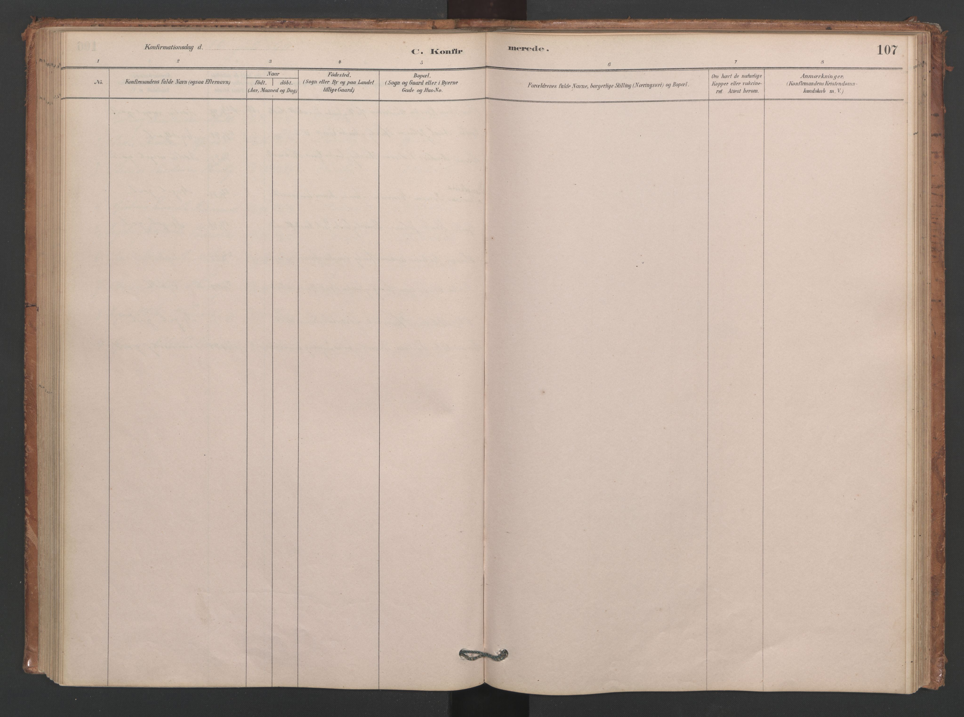 Ministerialprotokoller, klokkerbøker og fødselsregistre - Møre og Romsdal, SAT/A-1454/593/L1034: Parish register (official) no. 593A01, 1879-1911, p. 107