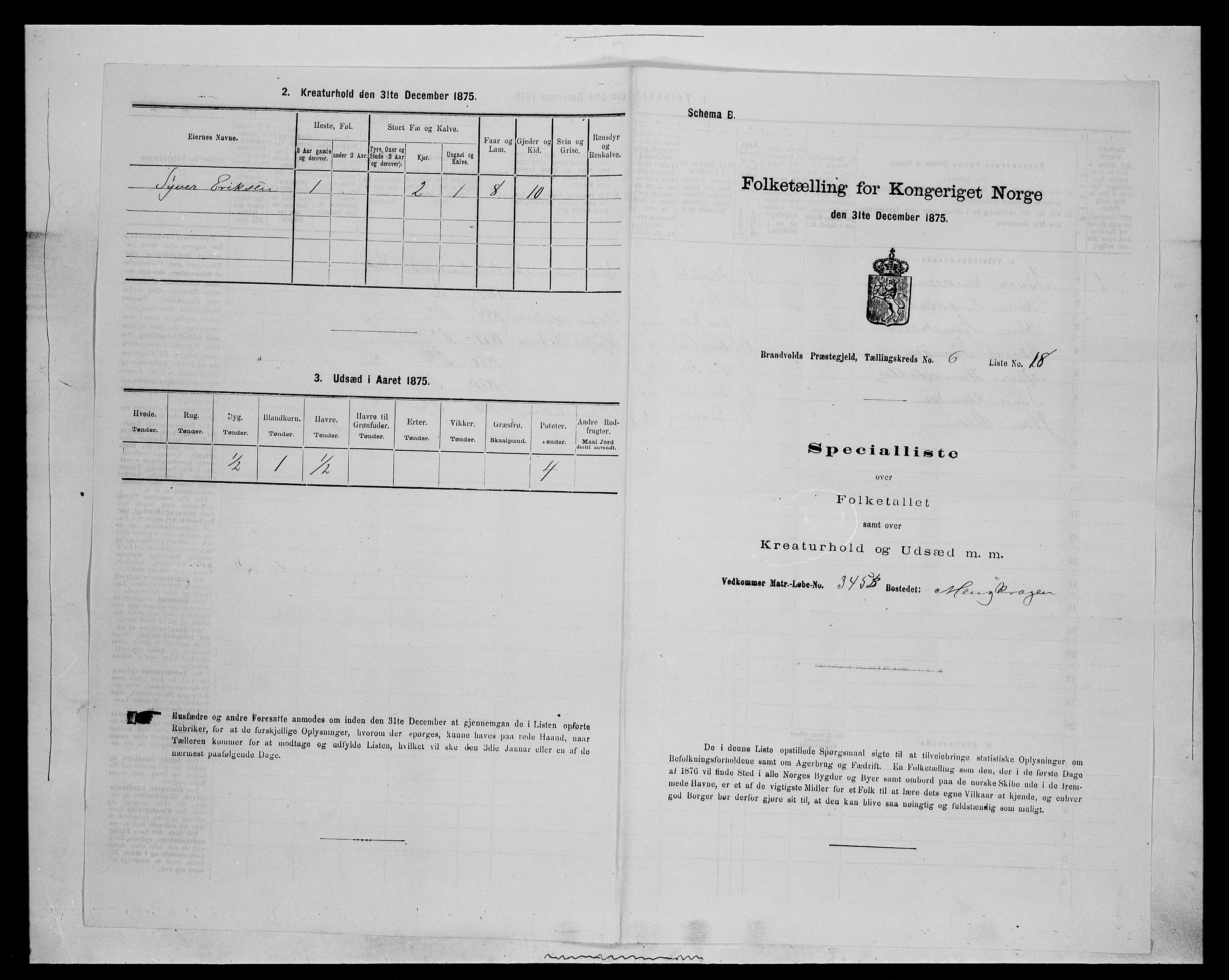 SAH, 1875 census for 0422P Brandval, 1875, p. 1046