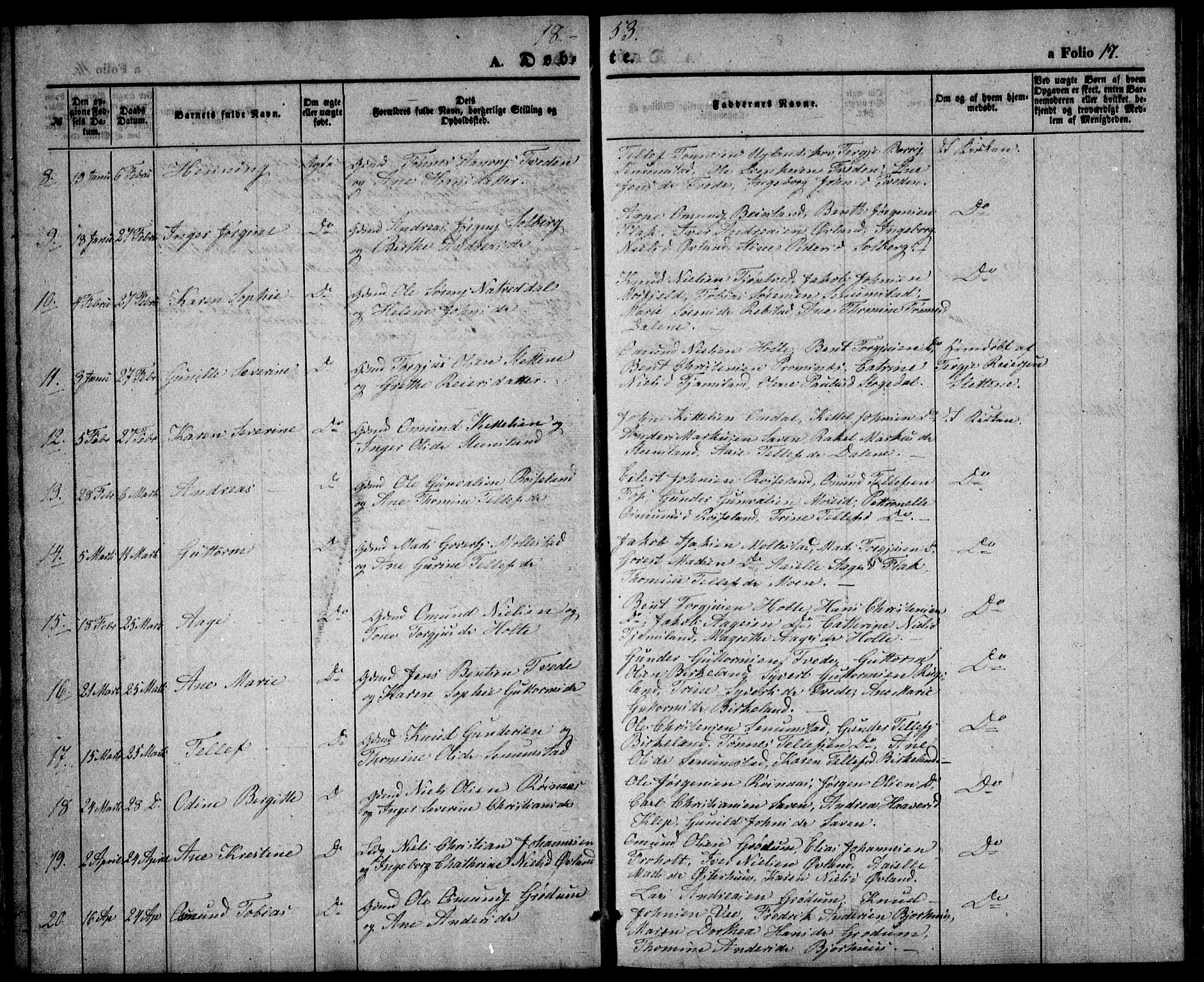 Birkenes sokneprestkontor, AV/SAK-1111-0004/F/Fb/L0002: Parish register (copy) no. B 2, 1849-1876, p. 17