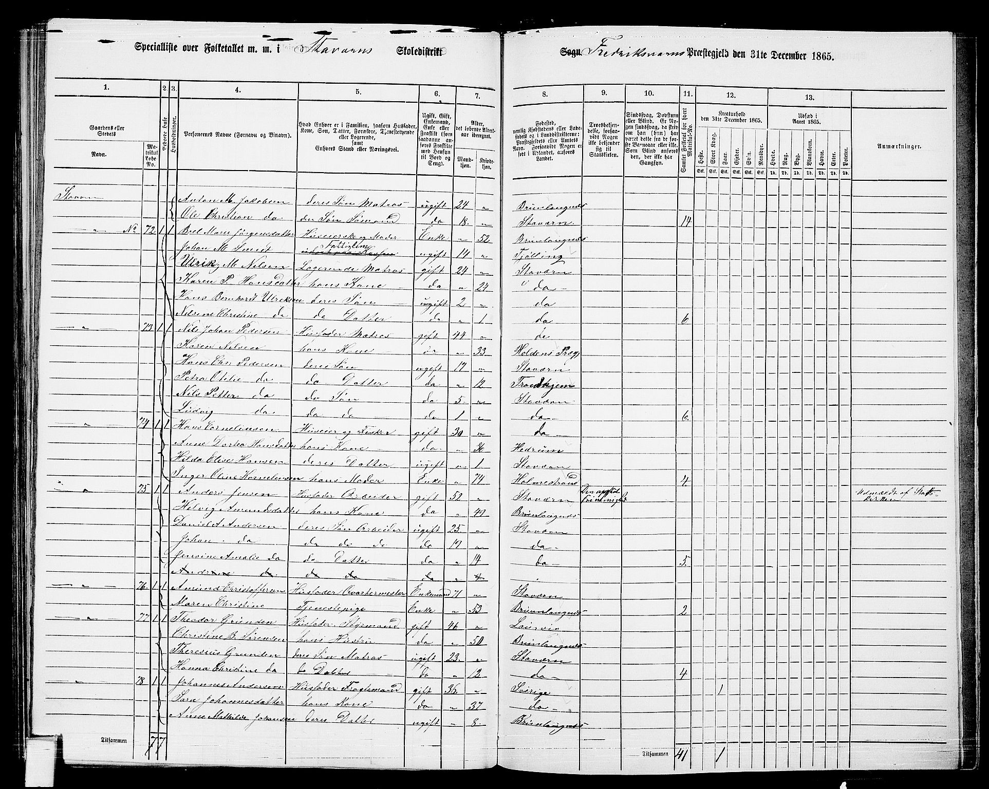 RA, 1865 census for Fredriksvern, 1865, p. 33