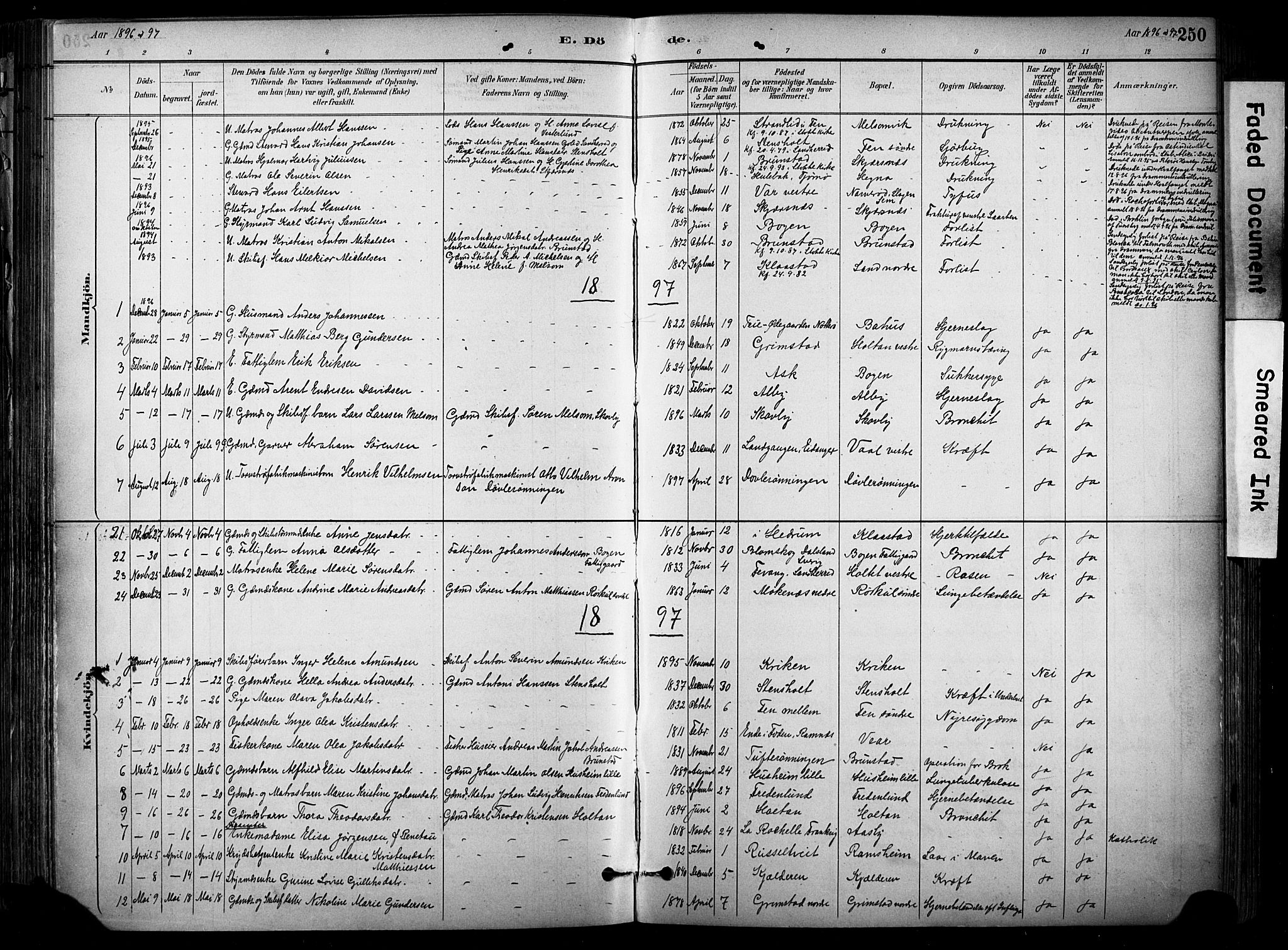 Stokke kirkebøker, SAKO/A-320/F/Fa/L0010: Parish register (official) no. I 10, 1884-1903, p. 250