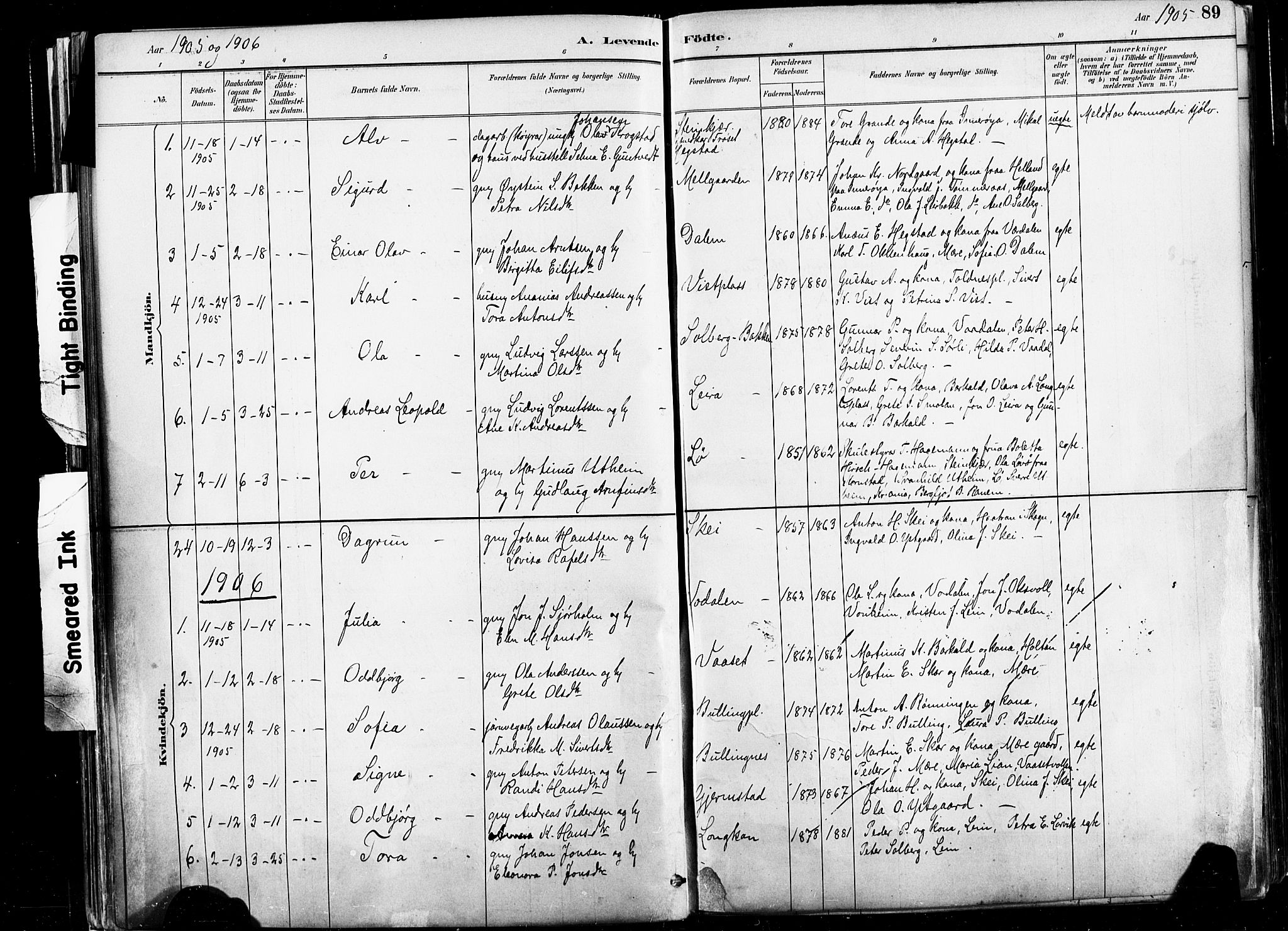 Ministerialprotokoller, klokkerbøker og fødselsregistre - Nord-Trøndelag, AV/SAT-A-1458/735/L0351: Parish register (official) no. 735A10, 1884-1908, p. 89