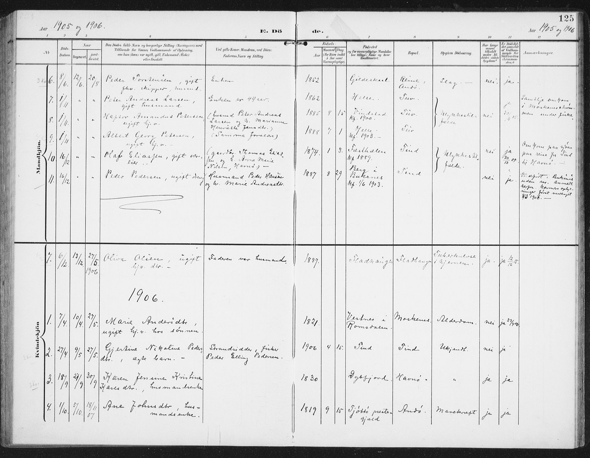 Ministerialprotokoller, klokkerbøker og fødselsregistre - Nordland, SAT/A-1459/886/L1221: Parish register (official) no. 886A03, 1903-1913, p. 125