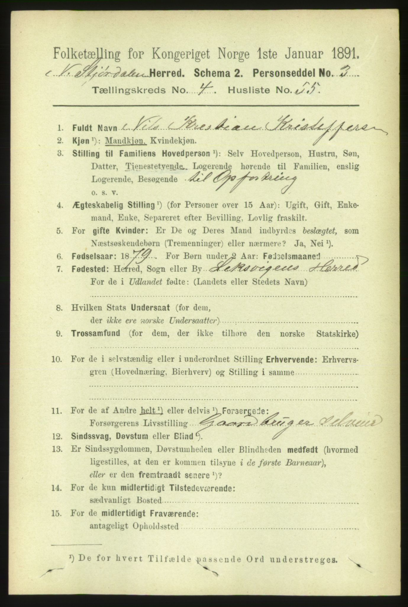 RA, 1891 census for 1714 Nedre Stjørdal, 1891, p. 1908