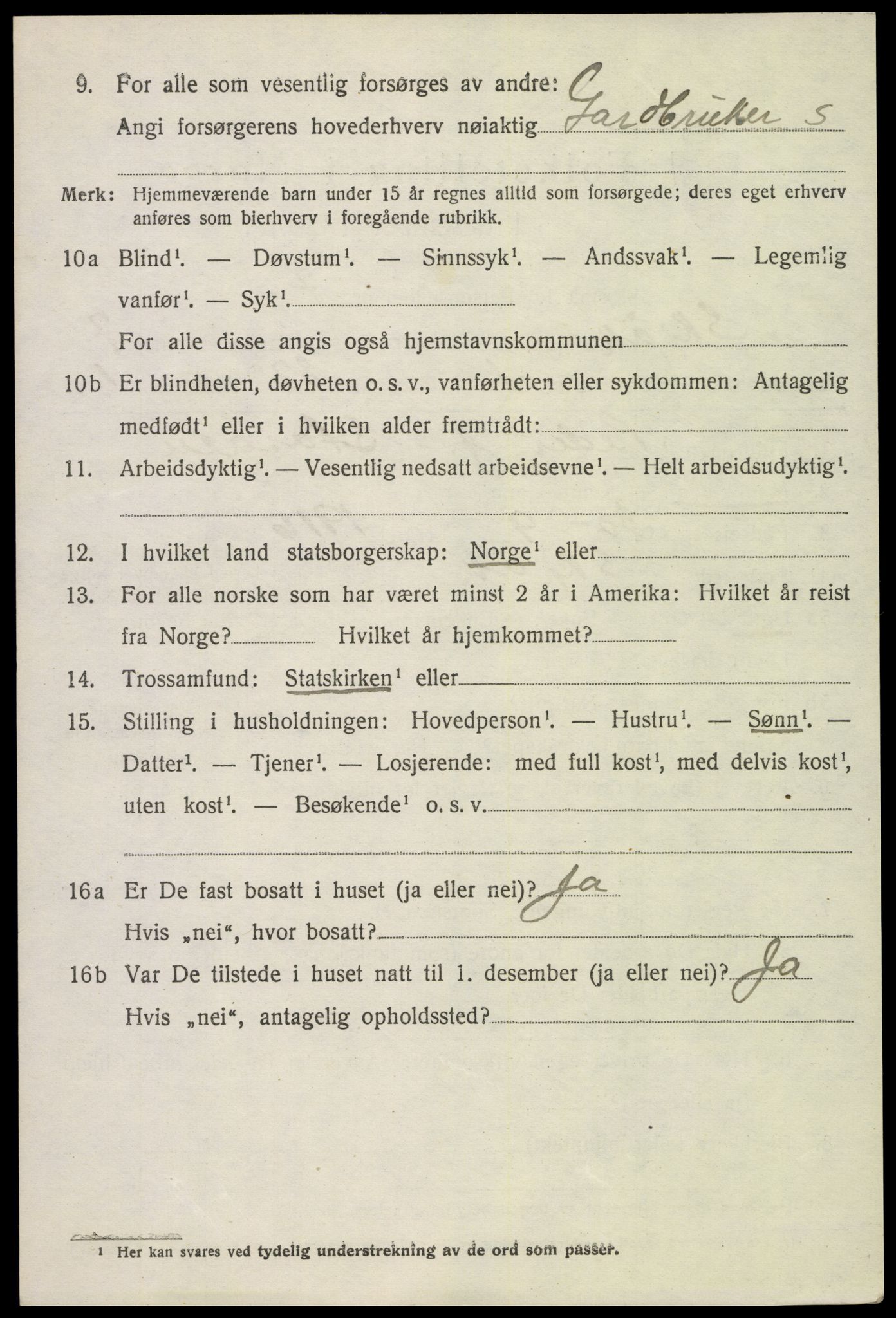 SAH, 1920 census for Skjåk, 1920, p. 3397