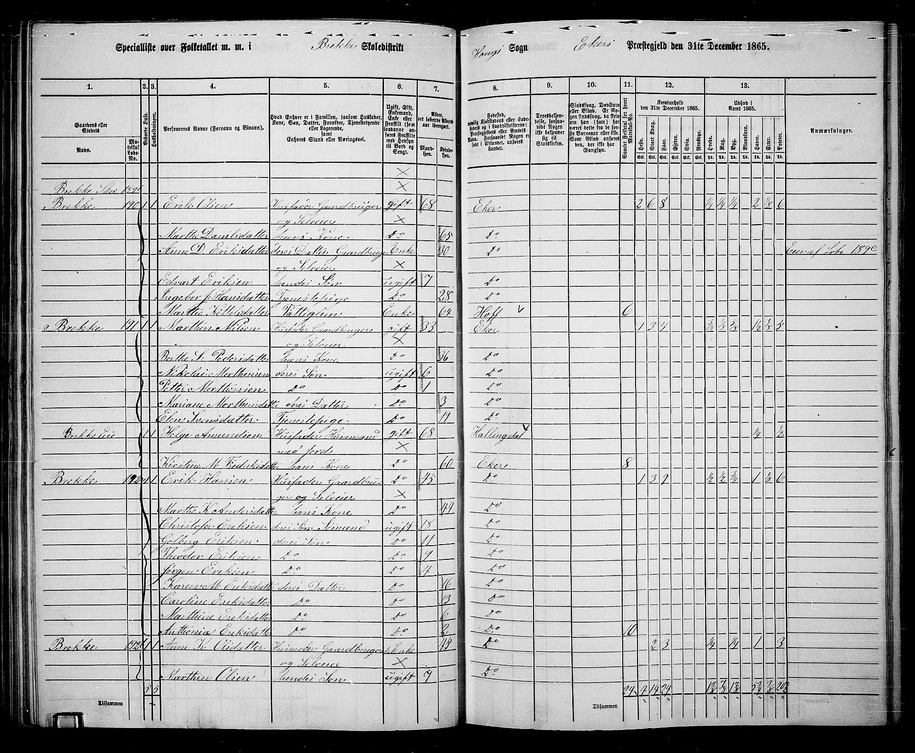 RA, 1865 census for Eiker, 1865, p. 66