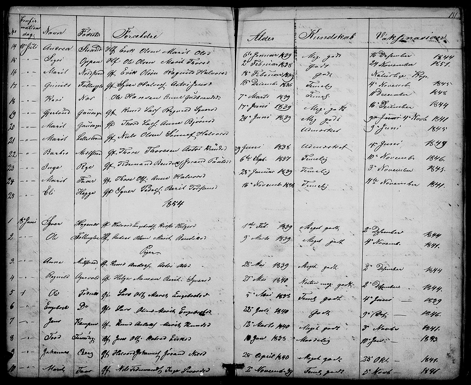 Nord-Aurdal prestekontor, SAH/PREST-132/H/Ha/Hab/L0003: Parish register (copy) no. 3, 1842-1882, p. 131