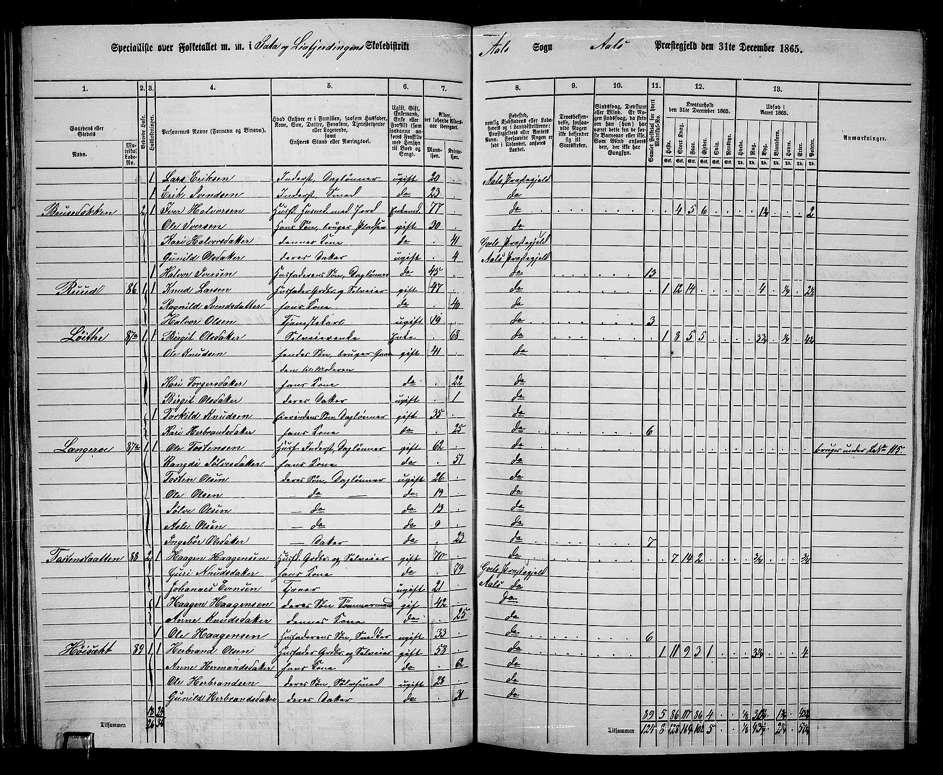 RA, 1865 census for Ål, 1865, p. 59