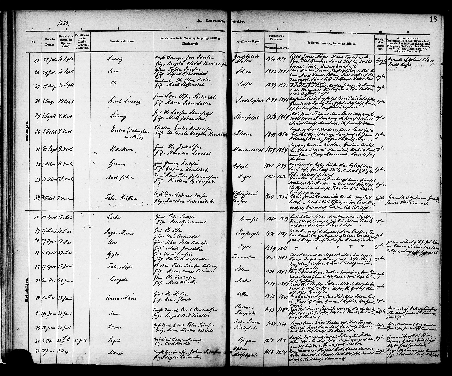 Ministerialprotokoller, klokkerbøker og fødselsregistre - Nord-Trøndelag, SAT/A-1458/703/L0030: Parish register (official) no. 703A03, 1880-1892, p. 18