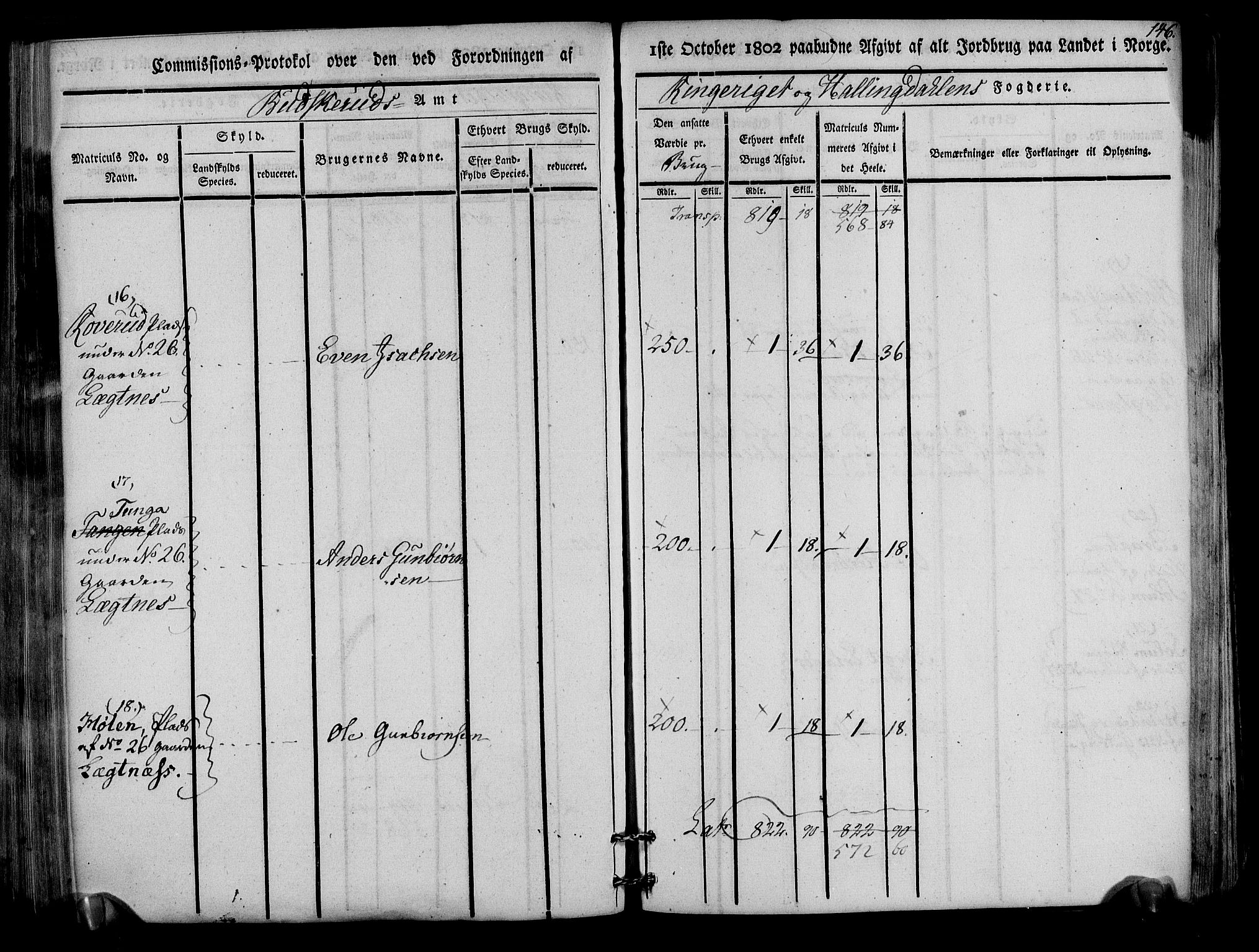 Rentekammeret inntil 1814, Realistisk ordnet avdeling, RA/EA-4070/N/Ne/Nea/L0047: Ringerike og Hallingdal fogderi. Kommisjonsprotokoll for Nes prestegjeld, 1803, p. 149