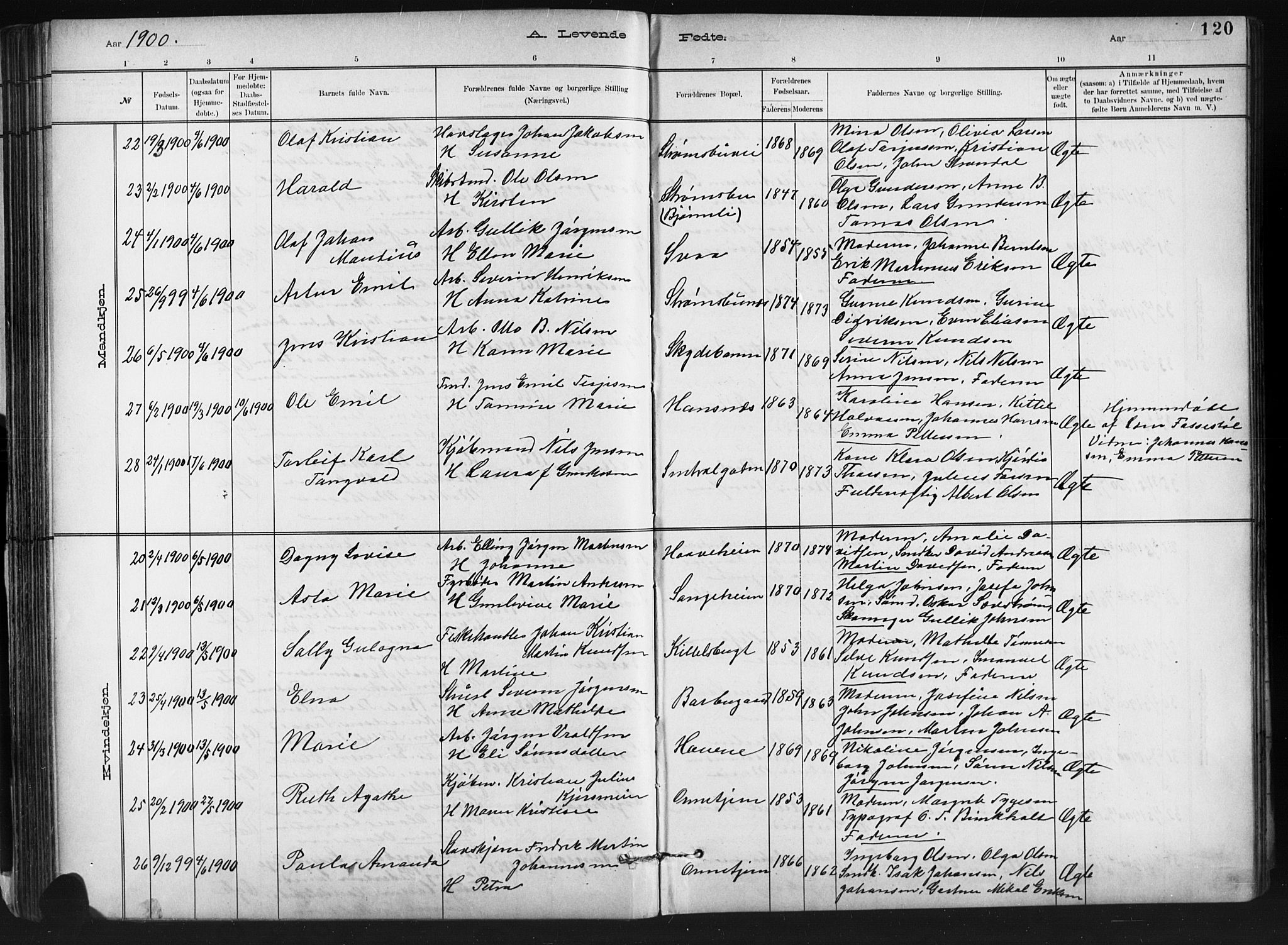 Barbu sokneprestkontor, SAK/1111-0003/F/Fb/L0002: Parish register (copy) no. B 2, 1890-1922, p. 120