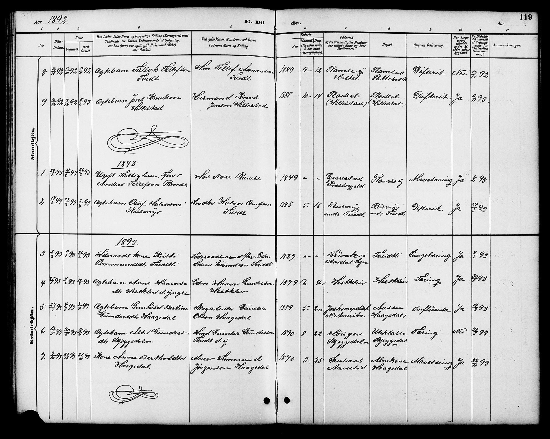 Åmli sokneprestkontor, SAK/1111-0050/F/Fb/Fbb/L0002: Parish register (copy) no. B 2, 1890-1905, p. 119