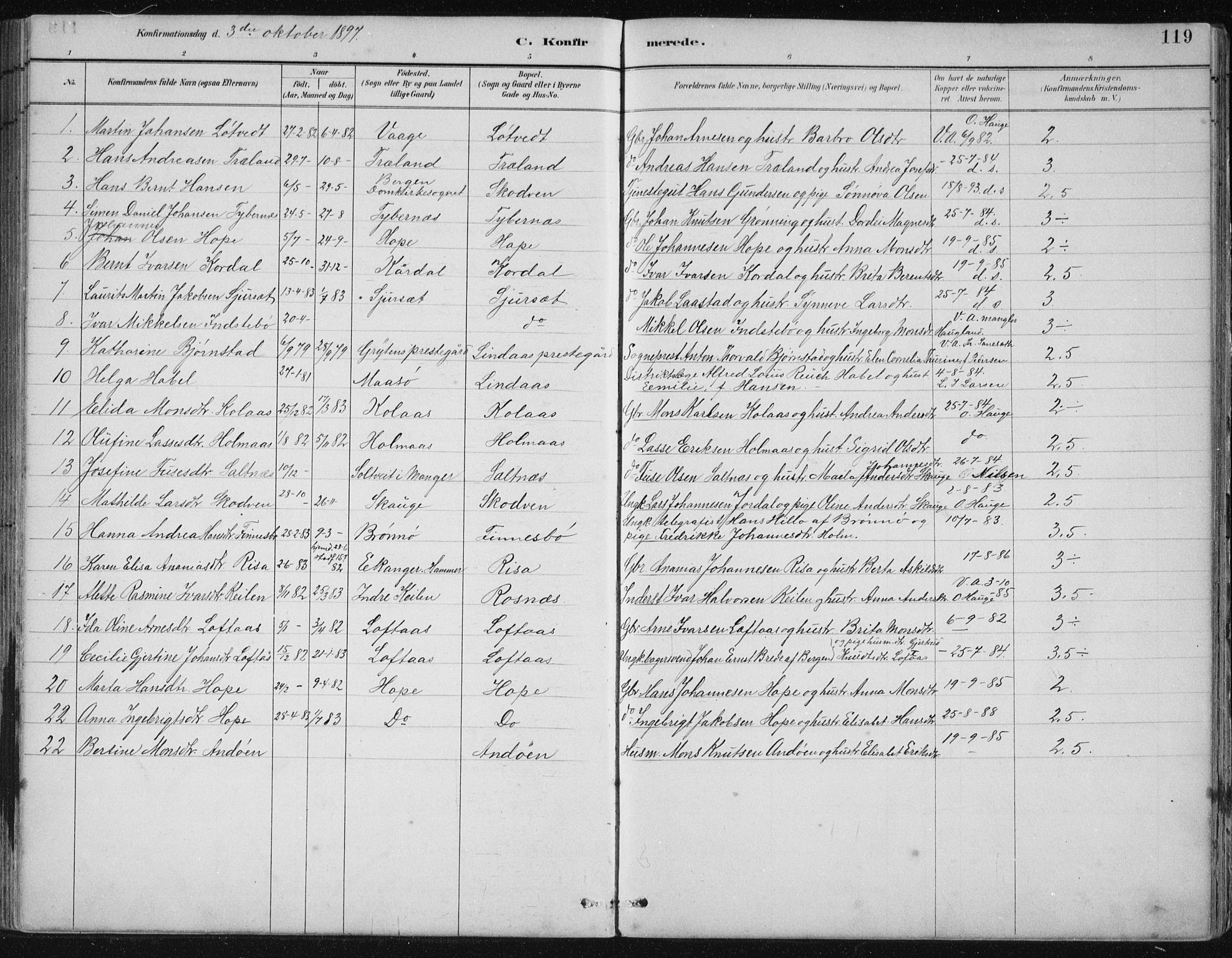 Lindås Sokneprestembete, SAB/A-76701/H/Hab: Parish register (copy) no. B 3, 1886-1914, p. 119