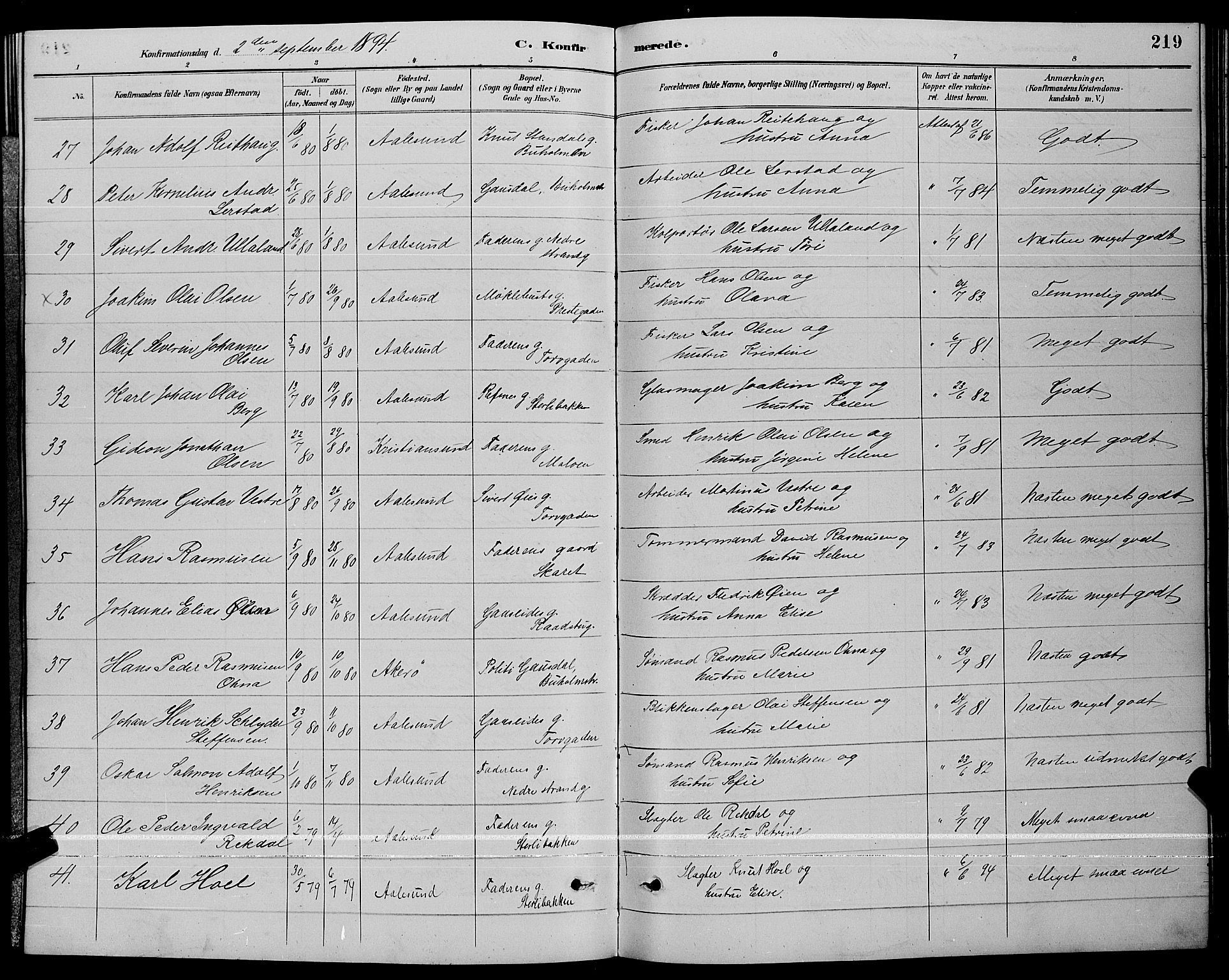 Ministerialprotokoller, klokkerbøker og fødselsregistre - Møre og Romsdal, AV/SAT-A-1454/529/L0467: Parish register (copy) no. 529C04, 1889-1897, p. 219