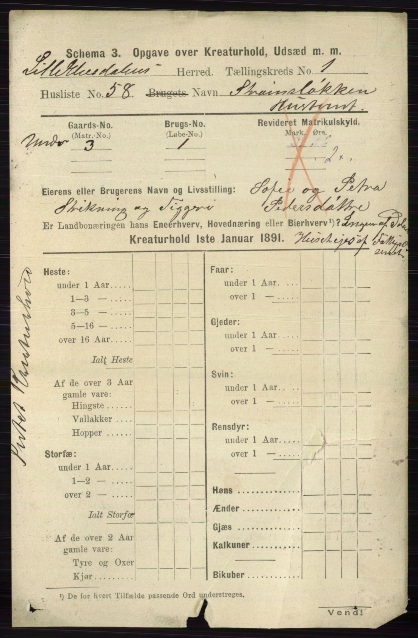 RA, 1891 census for 0438 Lille Elvedalen, 1891, p. 4024