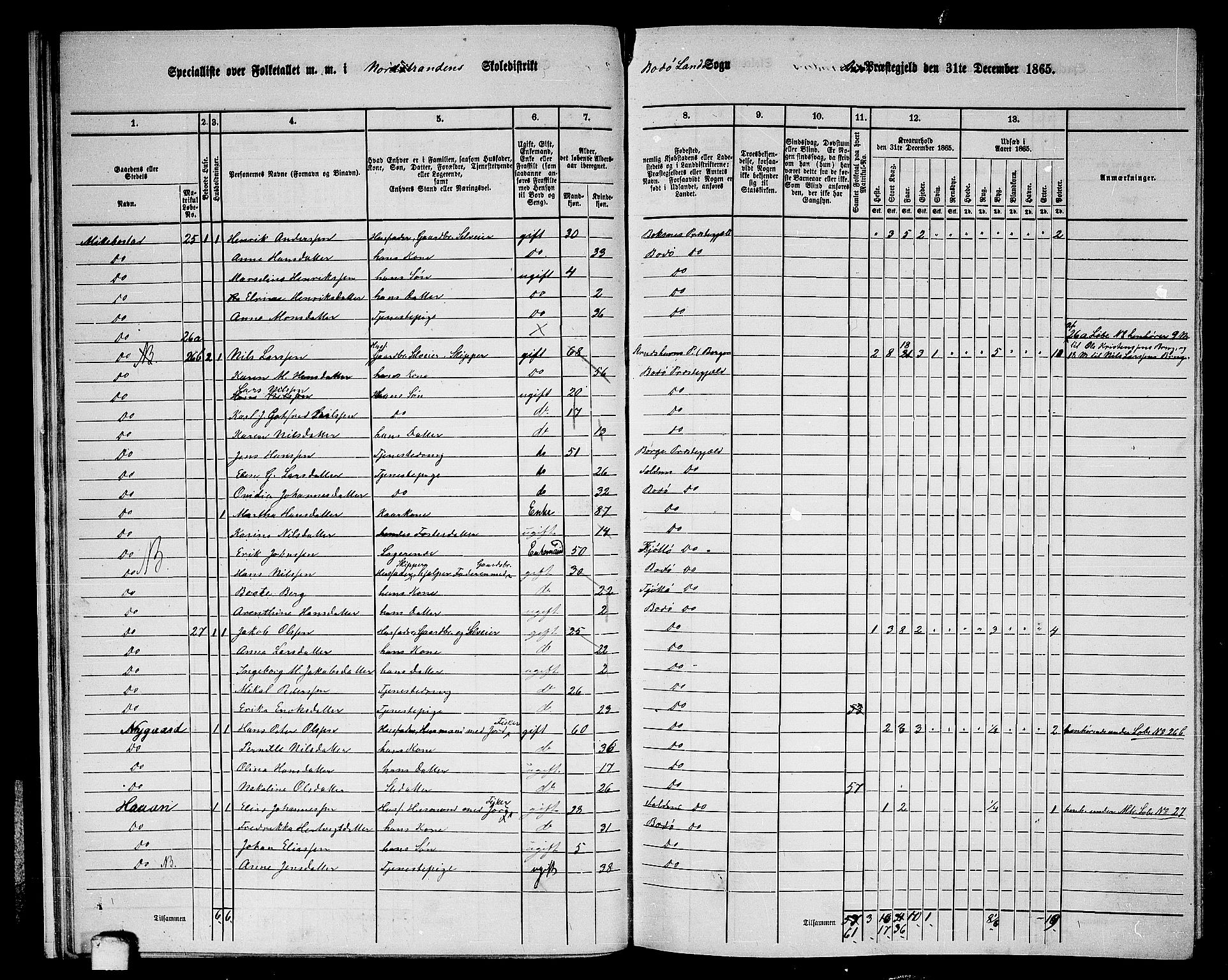 RA, 1865 census for Bodø/Bodø, 1865, p. 18