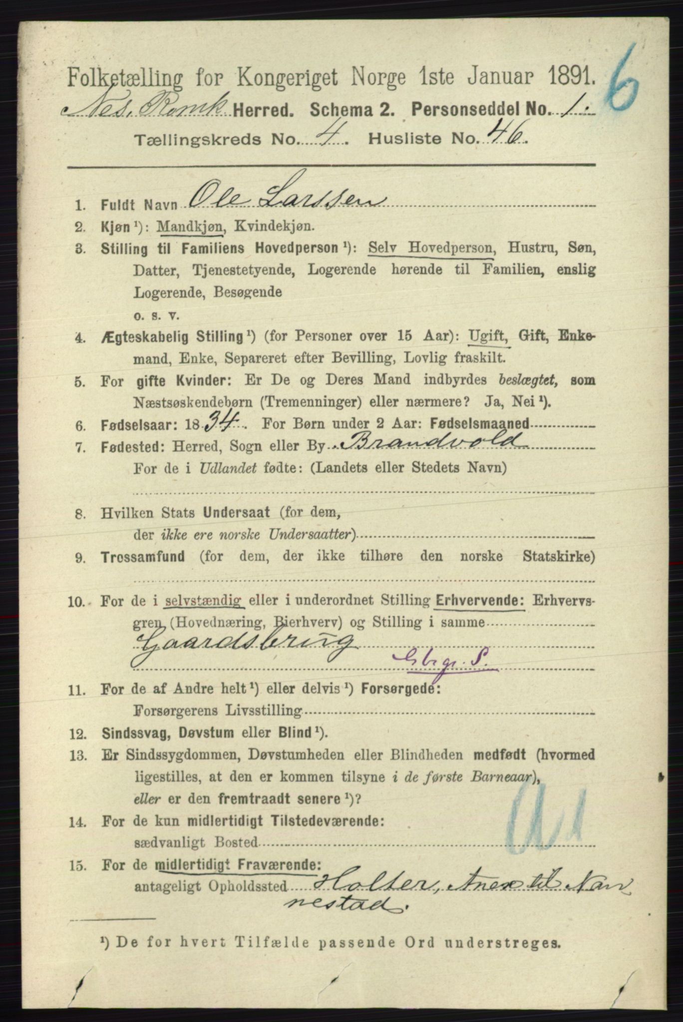 RA, 1891 census for 0236 Nes, 1891, p. 2517