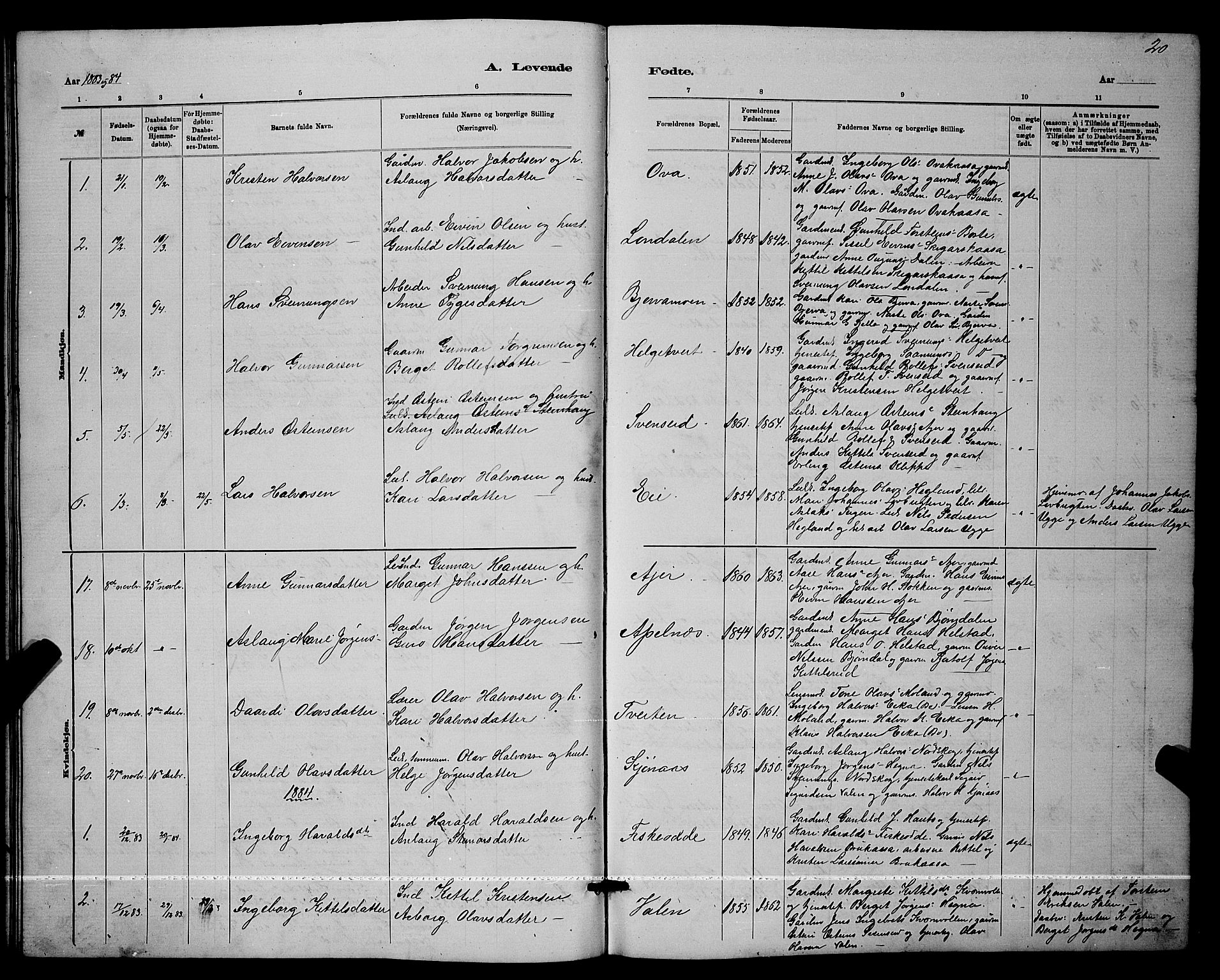Lunde kirkebøker, SAKO/A-282/G/Ga/L0001b: Parish register (copy) no. I 1, 1879-1887, p. 20