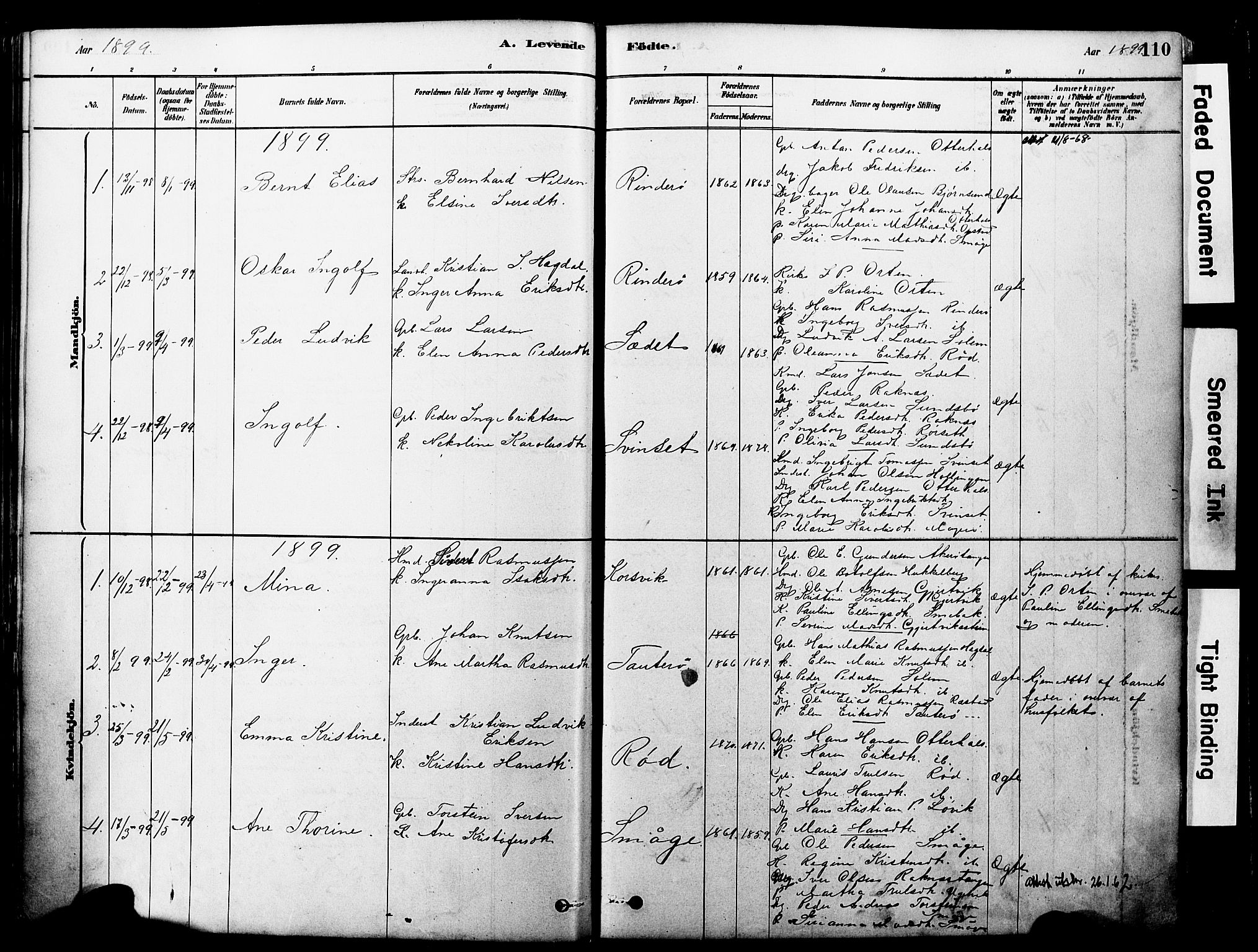 Ministerialprotokoller, klokkerbøker og fødselsregistre - Møre og Romsdal, SAT/A-1454/560/L0721: Parish register (official) no. 560A05, 1878-1917, p. 110
