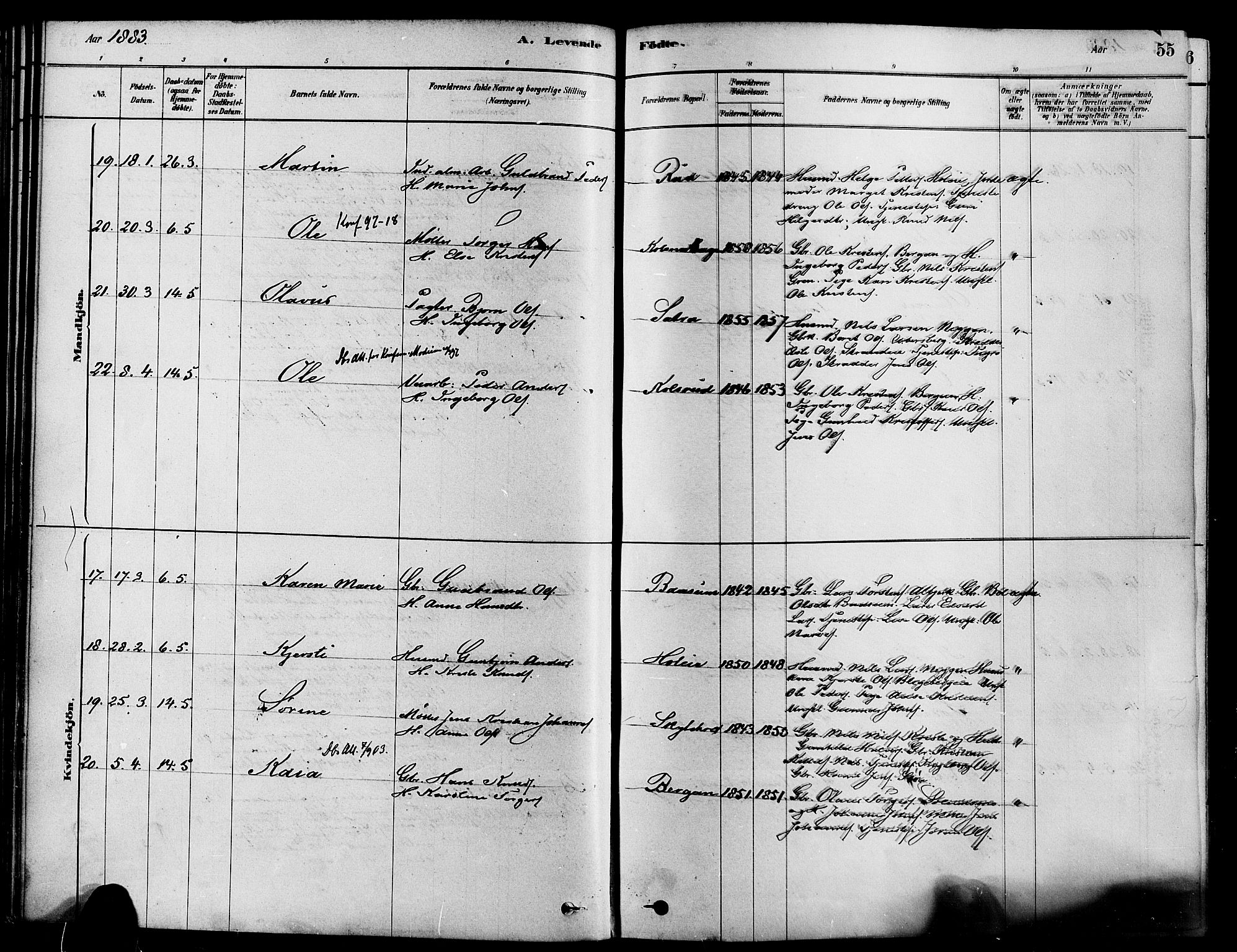 Sigdal kirkebøker, AV/SAKO-A-245/F/Fa/L0011: Parish register (official) no. I 11, 1879-1887, p. 55