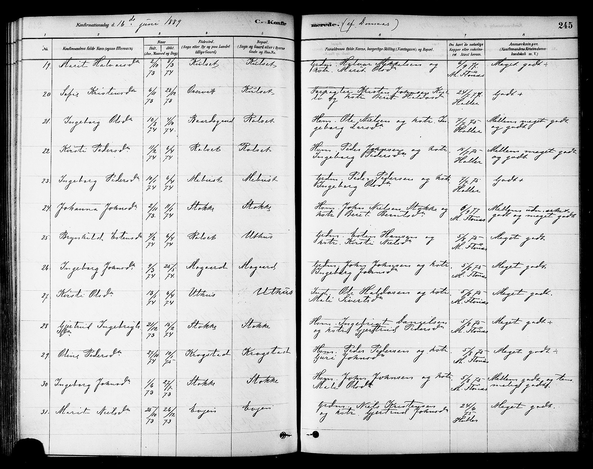 Ministerialprotokoller, klokkerbøker og fødselsregistre - Sør-Trøndelag, AV/SAT-A-1456/695/L1148: Parish register (official) no. 695A08, 1878-1891, p. 245