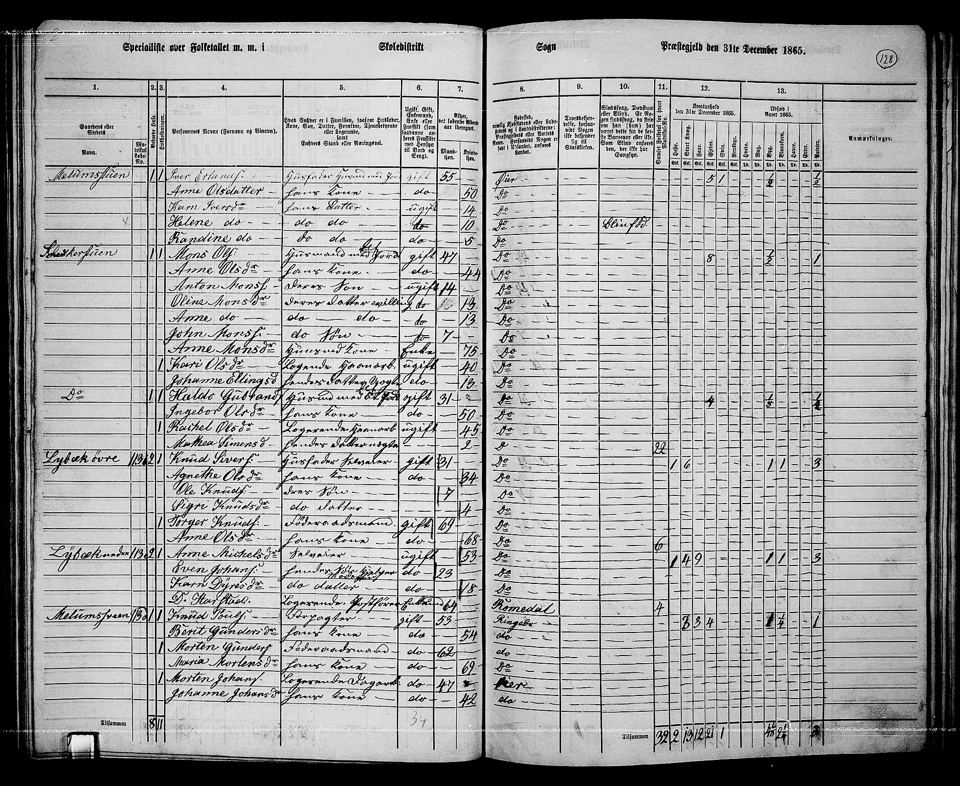 RA, 1865 census for Øyer, 1865, p. 114