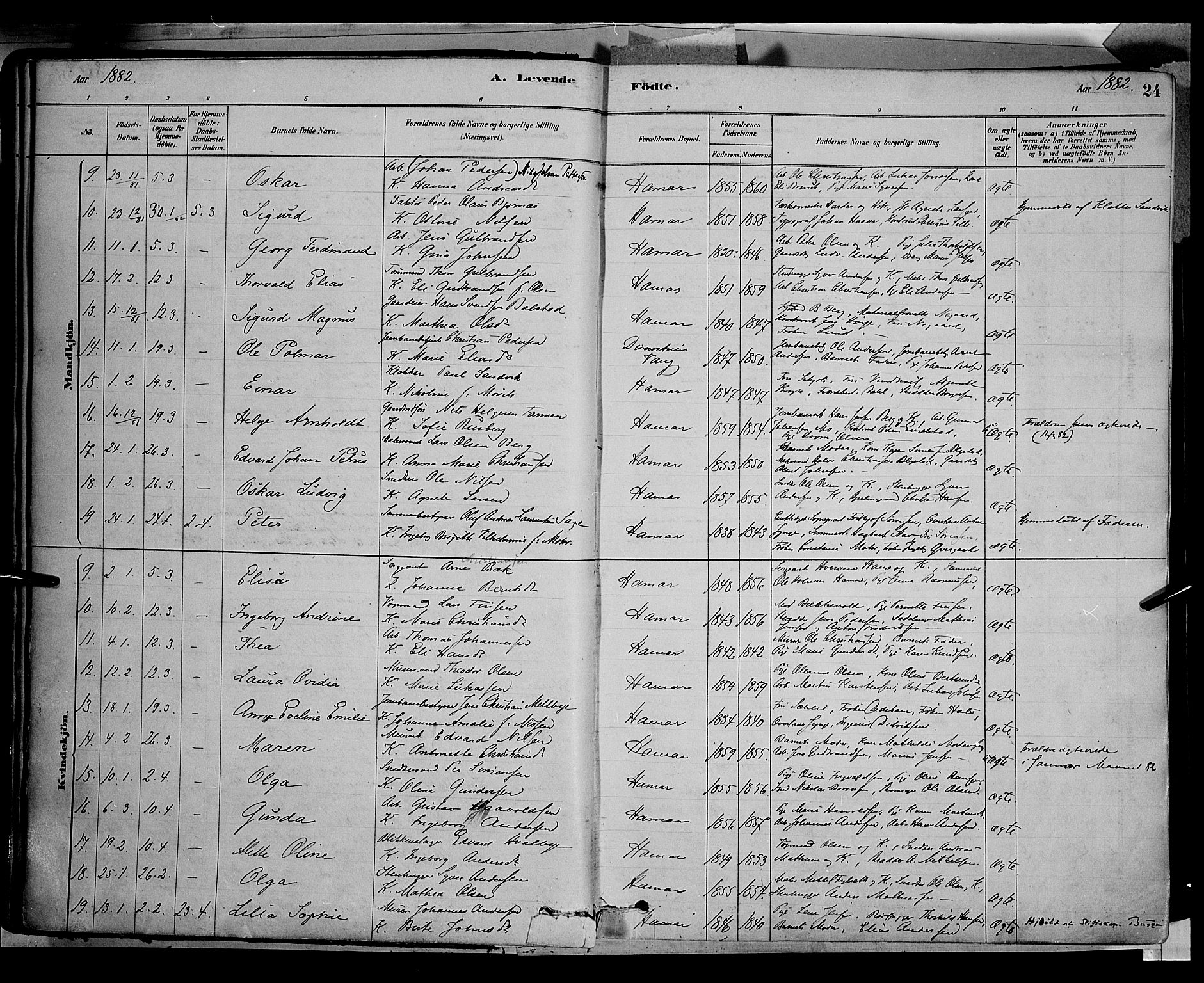 Vang prestekontor, Hedmark, AV/SAH-PREST-008/H/Ha/Haa/L0016: Parish register (official) no. 16, 1878-1889, p. 24