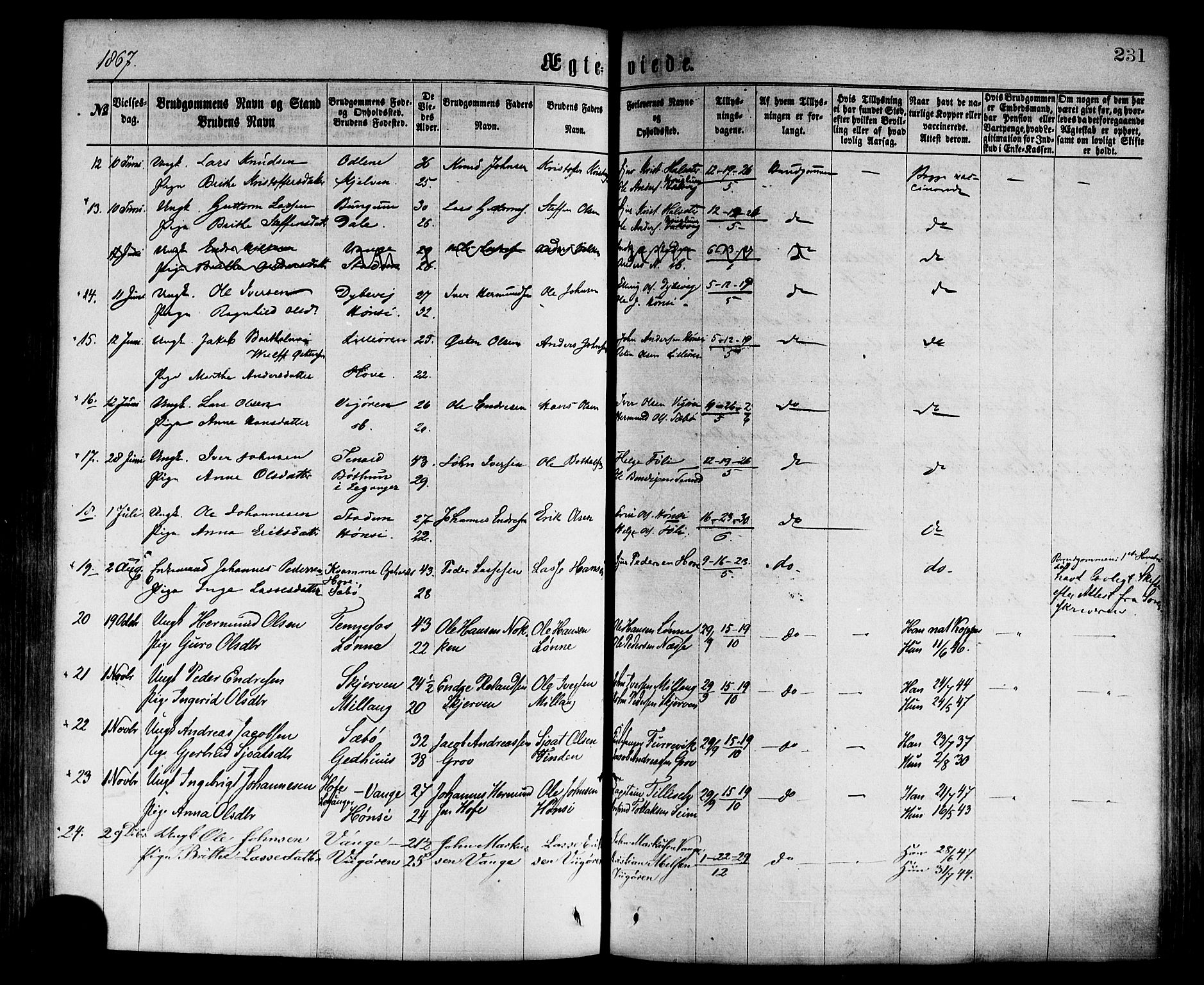 Vik sokneprestembete, AV/SAB-A-81501/H/Haa/Haaa/L0009: Parish register (official) no. A 9, 1866-1877, p. 231