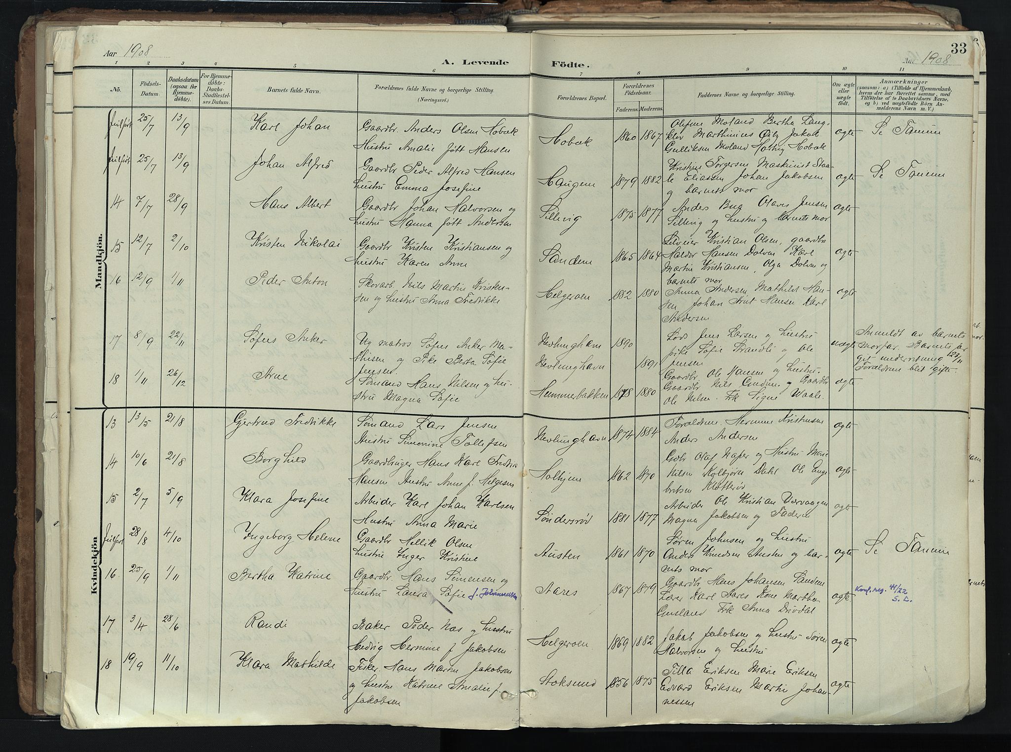 Brunlanes kirkebøker, SAKO/A-342/F/Fb/L0003: Parish register (official) no. II 3, 1900-1922, p. 33