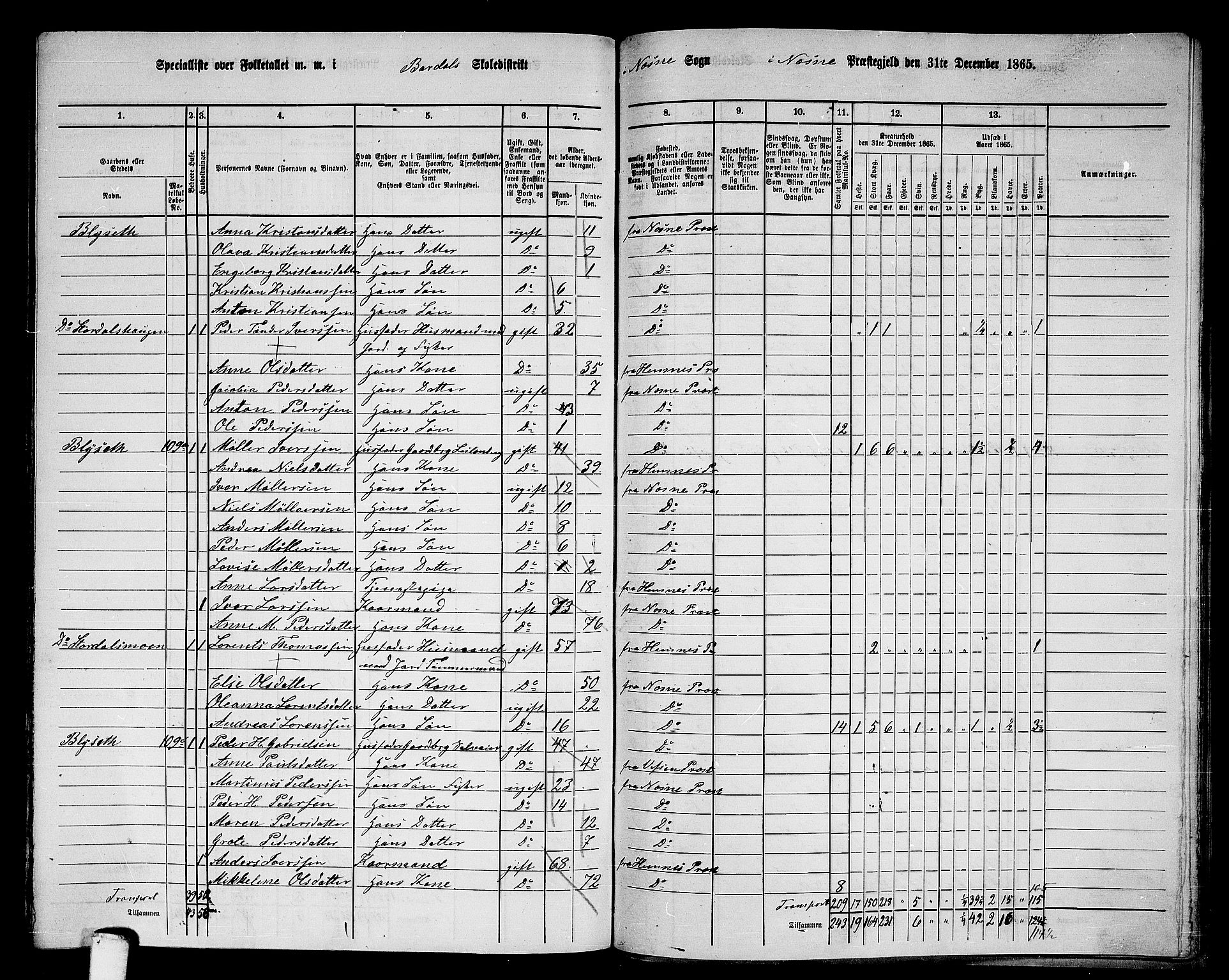 RA, 1865 census for Nesna, 1865, p. 156