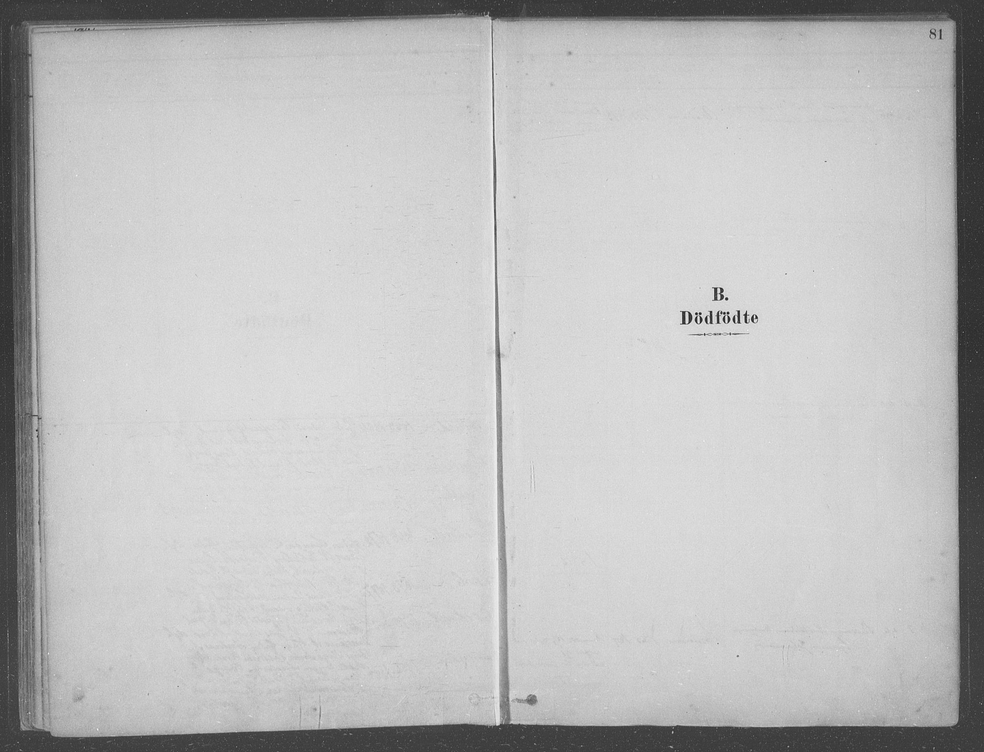 Fusa sokneprestembete, SAB/A-75401/H/Haa: Parish register (official) no. B 1, 1880-1938, p. 81