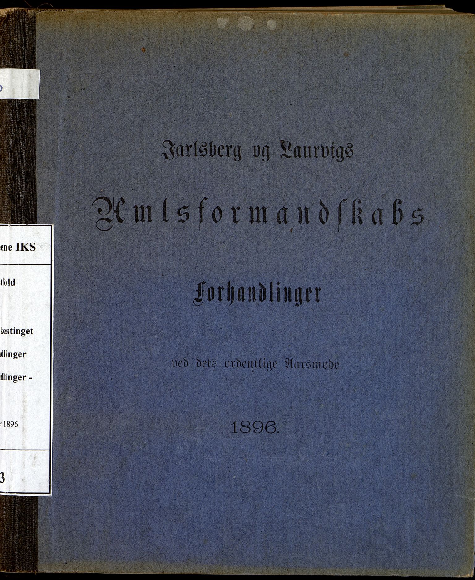 Vestfold fylkeskommune. Fylkestinget, VEMU/A-1315/A/Ab/Abb/L0043: Fylkestingsforhandlinger, 1896