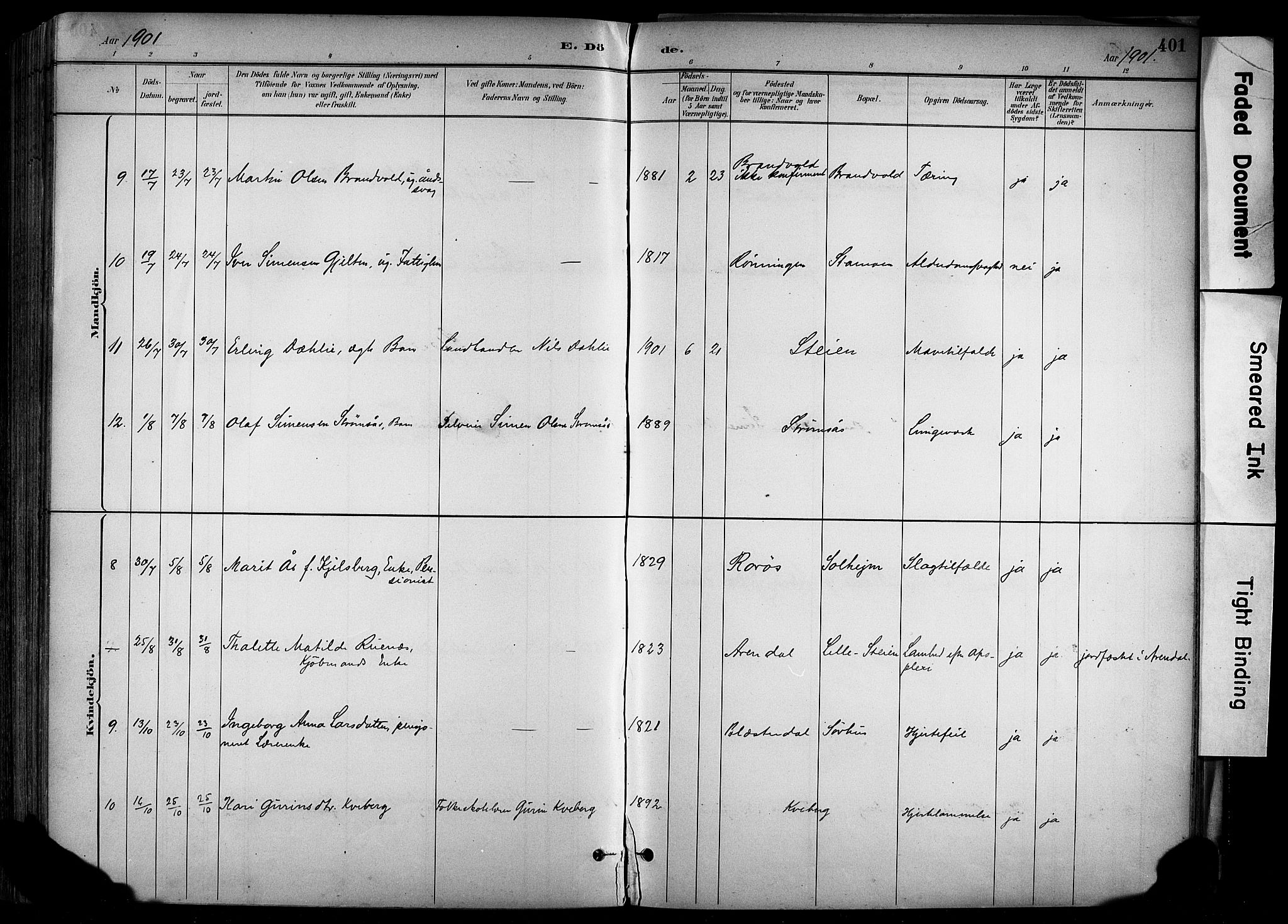 Alvdal prestekontor, AV/SAH-PREST-060/H/Ha/Haa/L0002: Parish register (official) no. 2, 1883-1906, p. 401