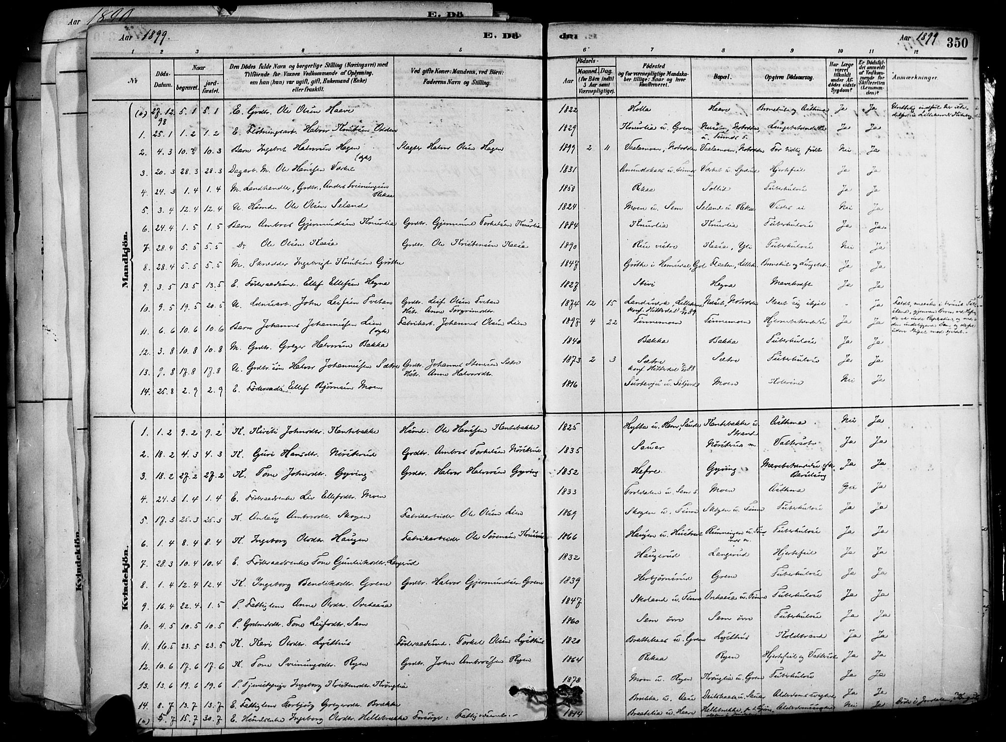 Heddal kirkebøker, SAKO/A-268/F/Fa/L0008: Parish register (official) no. I 8, 1878-1903, p. 350