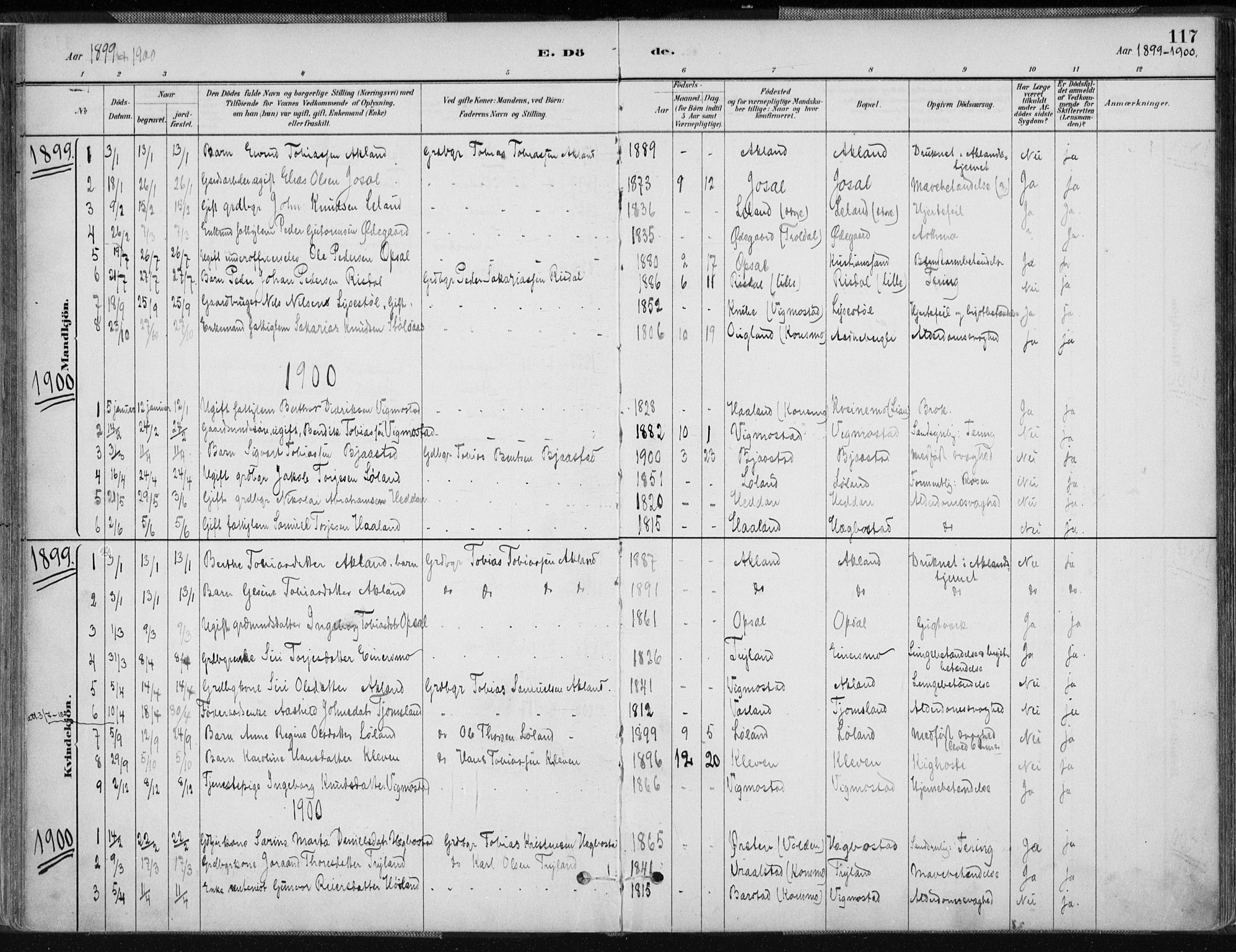 Nord-Audnedal sokneprestkontor, AV/SAK-1111-0032/F/Fa/Fab/L0003: Parish register (official) no. A 3, 1882-1900, p. 117