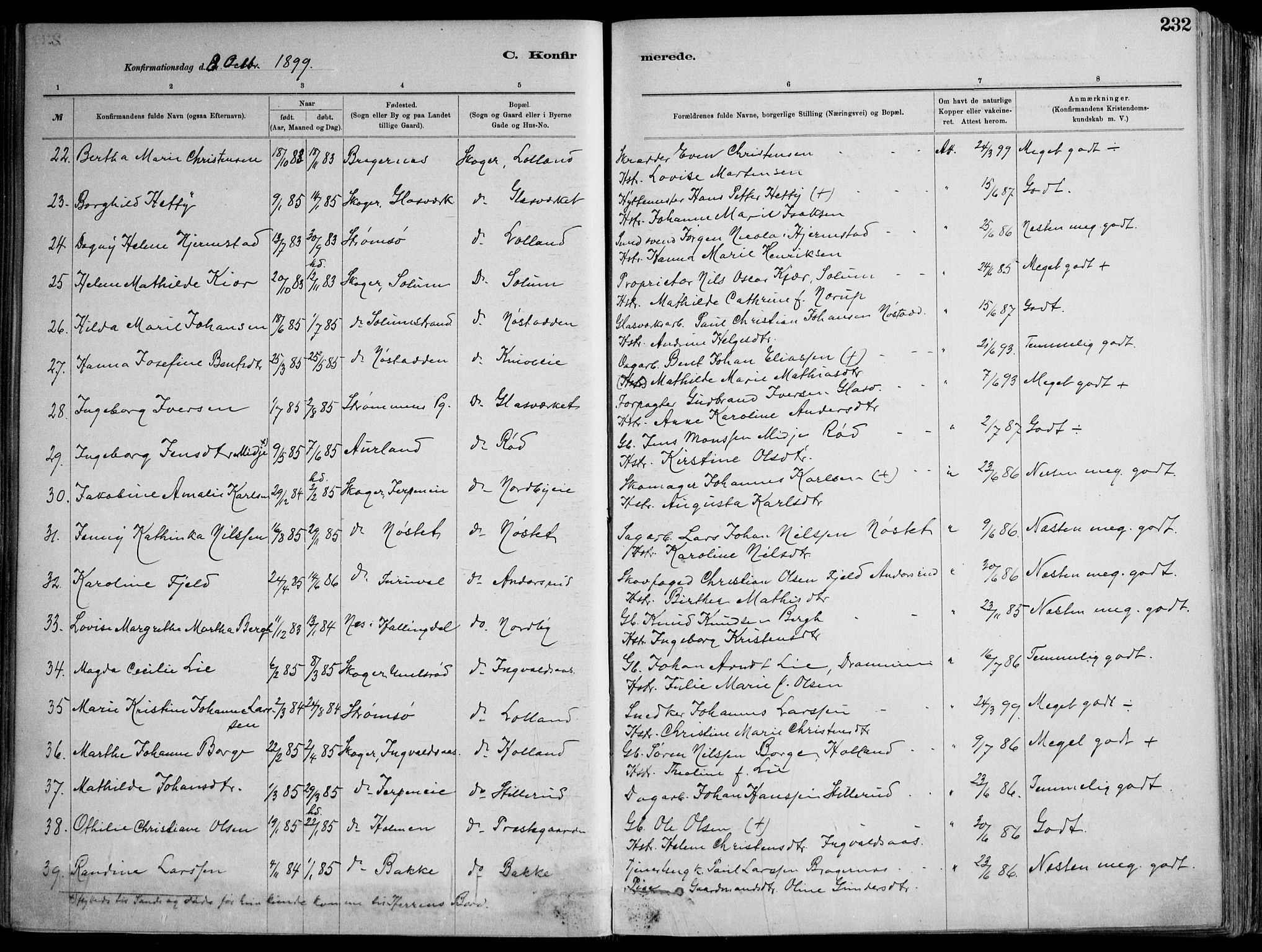 Skoger kirkebøker, AV/SAKO-A-59/F/Fa/L0006: Parish register (official) no. I 6, 1885-1910, p. 232