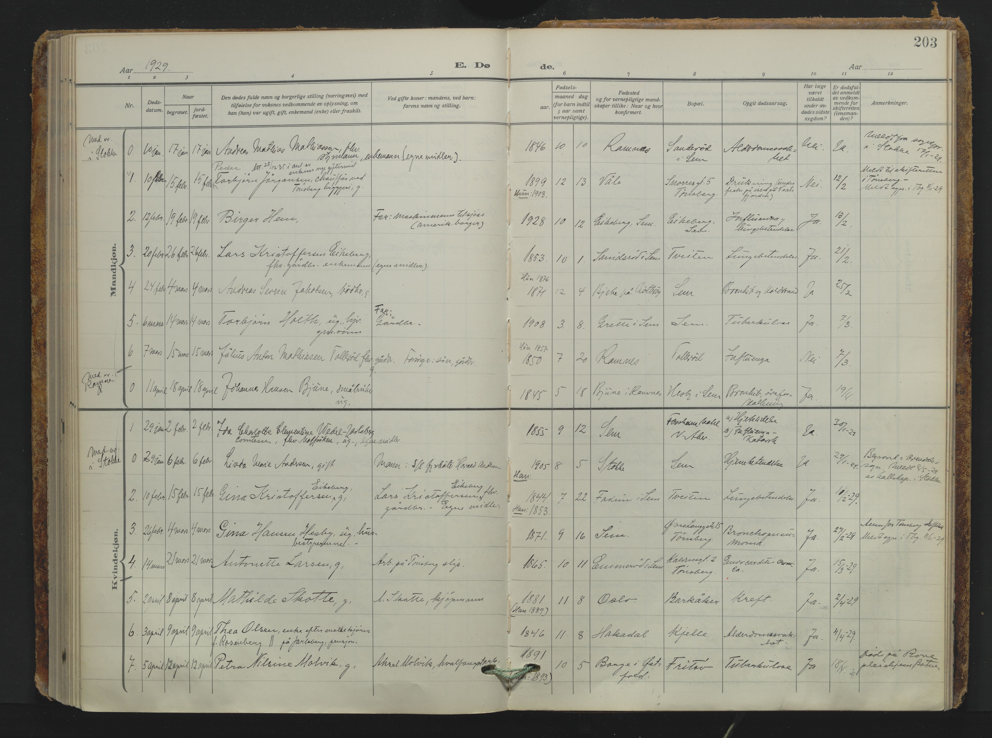 Sem kirkebøker, AV/SAKO-A-5/F/Fa/L0013: Parish register (official) no. I 13, 1916-1932, p. 203