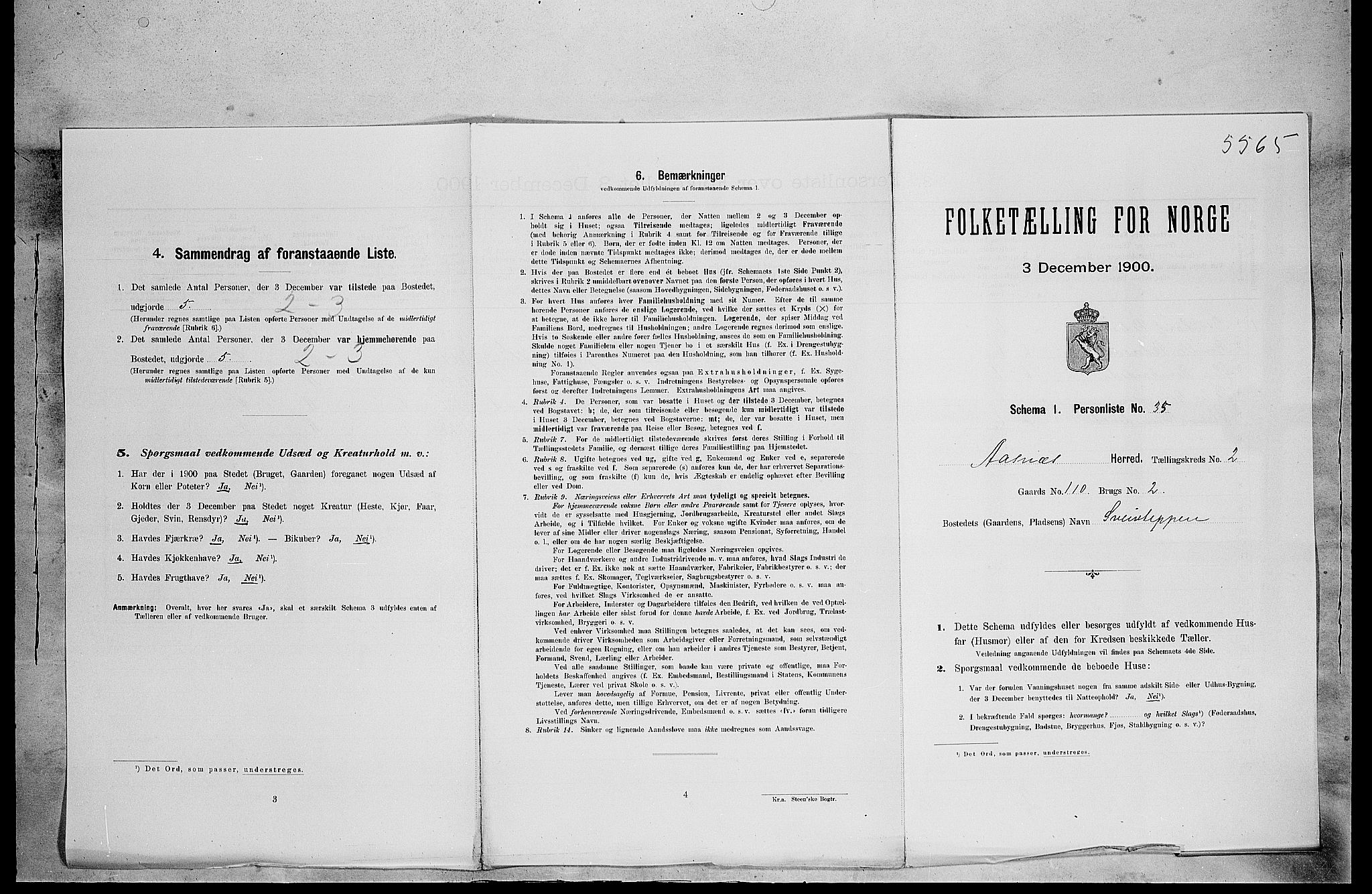 SAH, 1900 census for Åsnes, 1900, p. 321